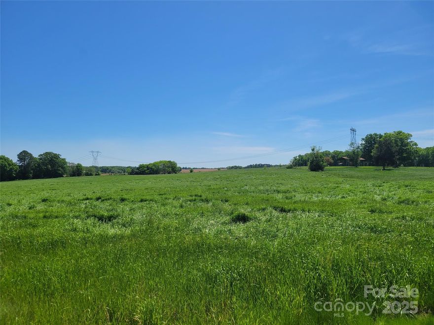 Come see this beautiful 17+ acre farm in Monroe. This piece of land has endless possibilities. Farm is located between 902 and 802 Bruce Thomas Road.  Please don't drive on the property, it is currently planted.  Property is currently in the farm program.