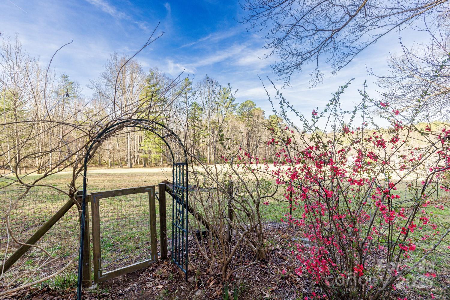117 Woods View Trail