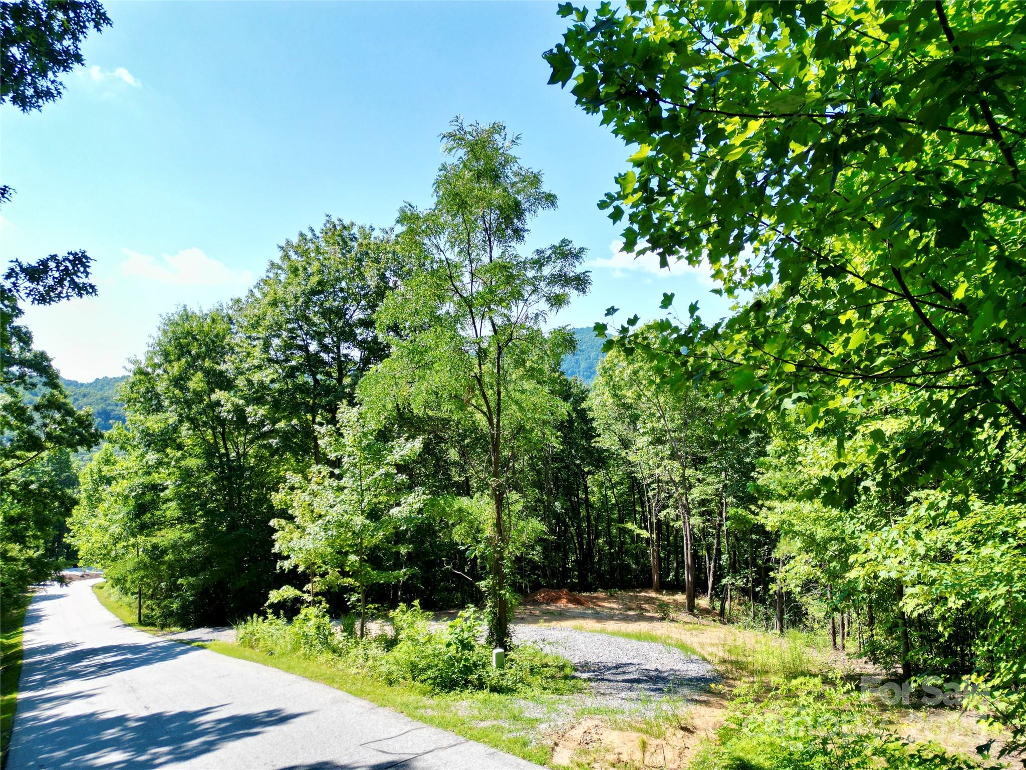 1915 Catawba Falls Parkway 232