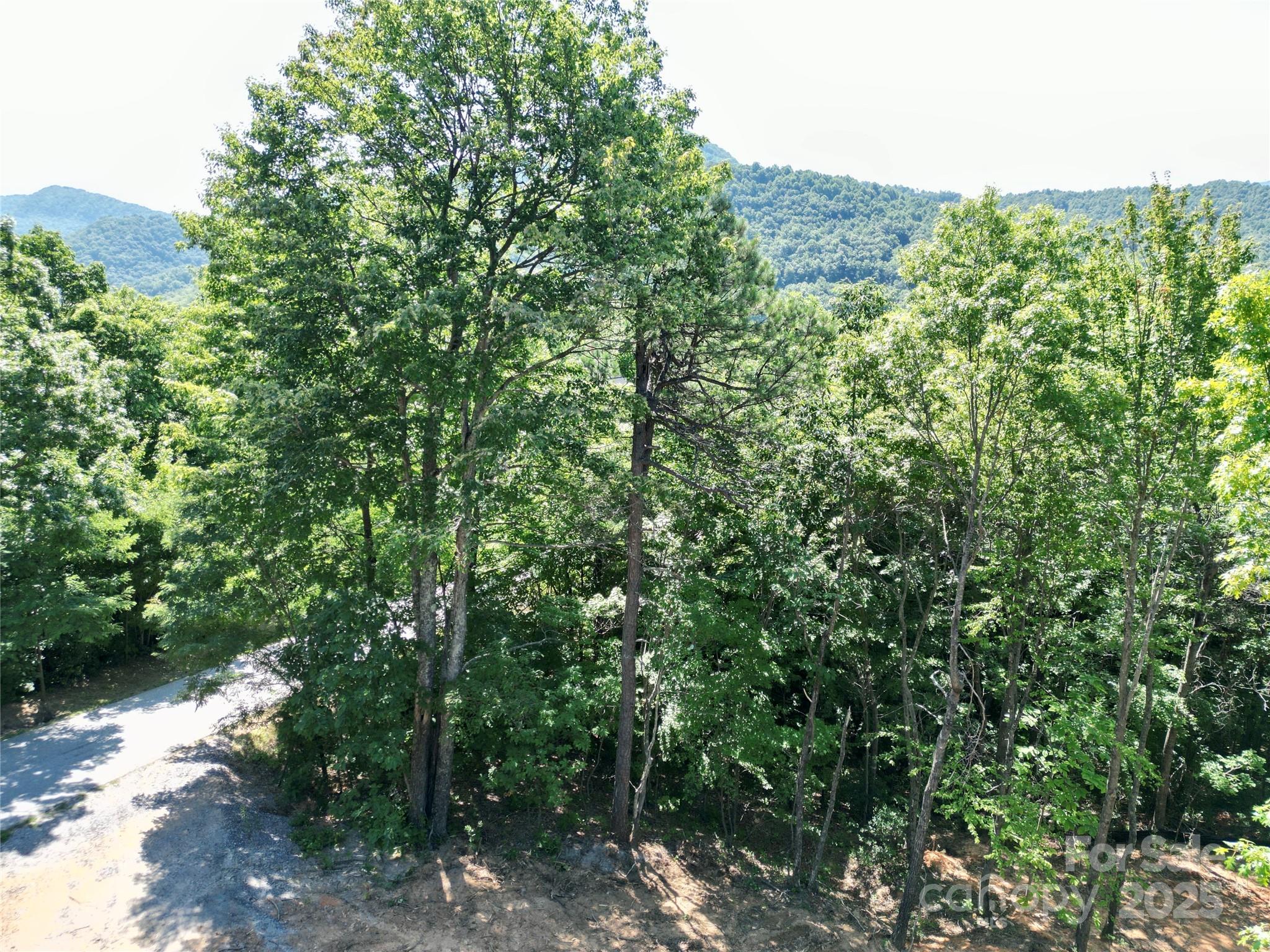 1915 Catawba Falls Parkway 232