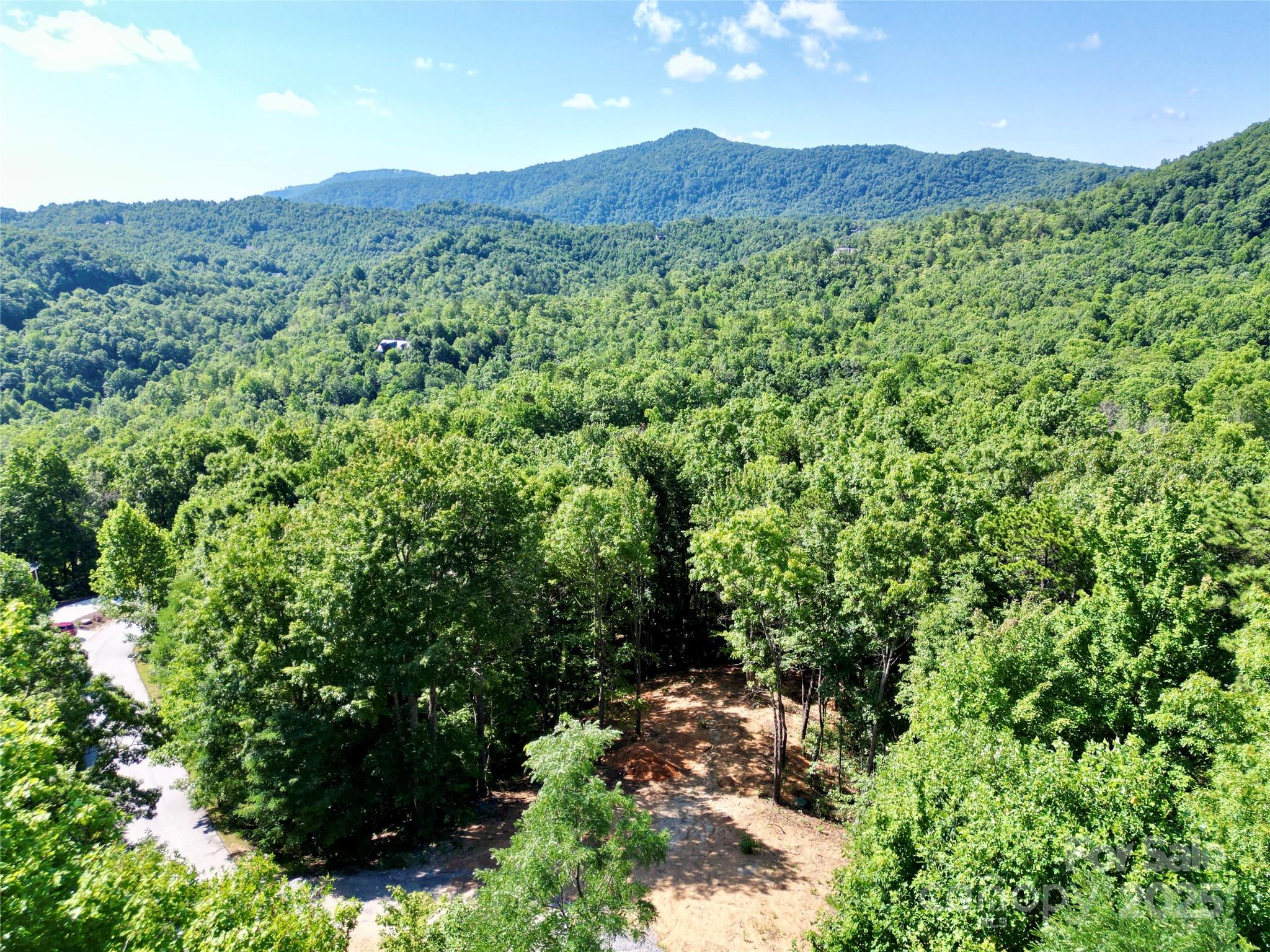 1915 Catawba Falls Parkway 232