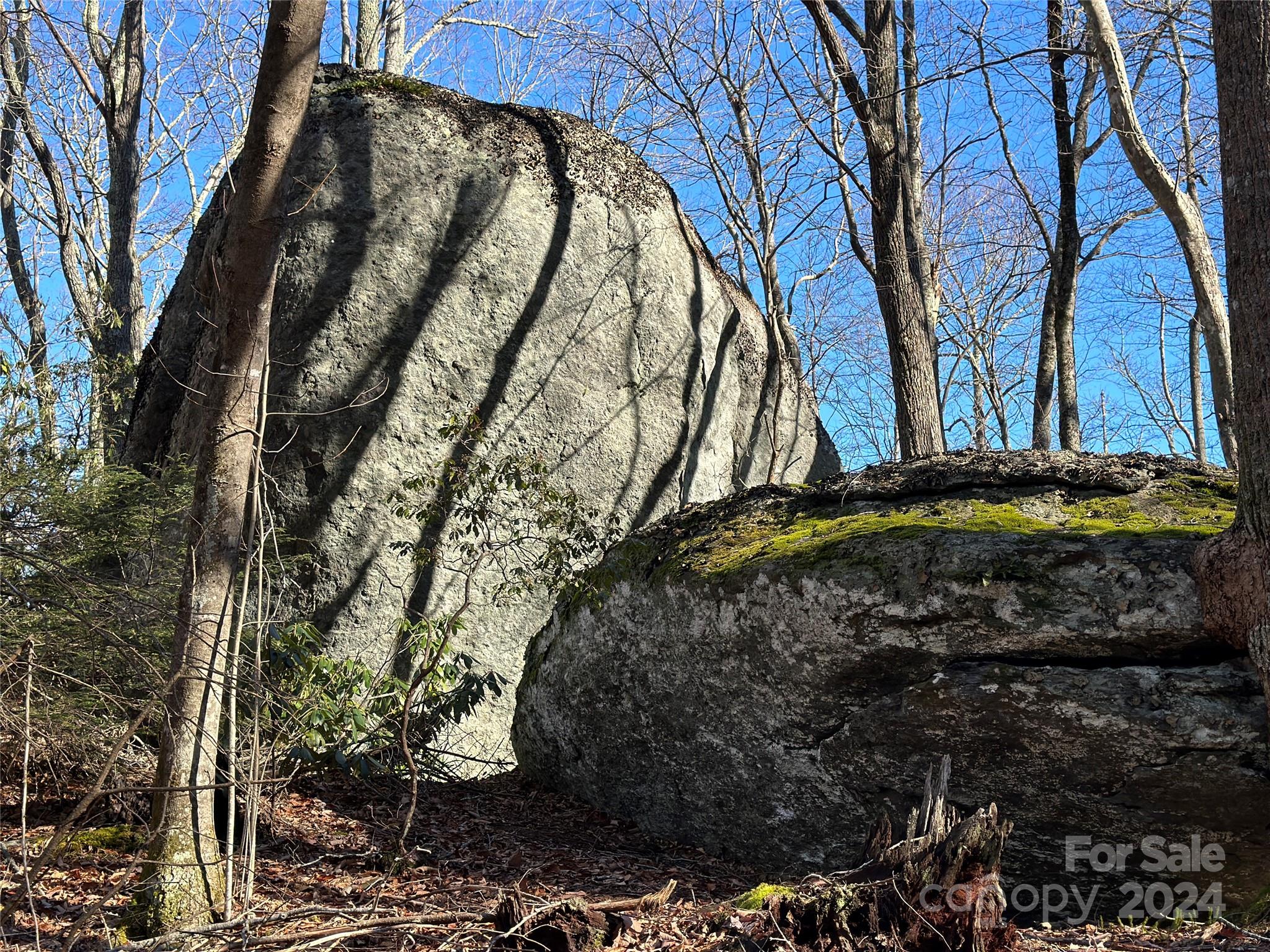 Banner Elk, North Carolina 28604, United States, 4 Bedrooms Bedrooms, ,5 BathroomsBathrooms,Residential,Active,66559