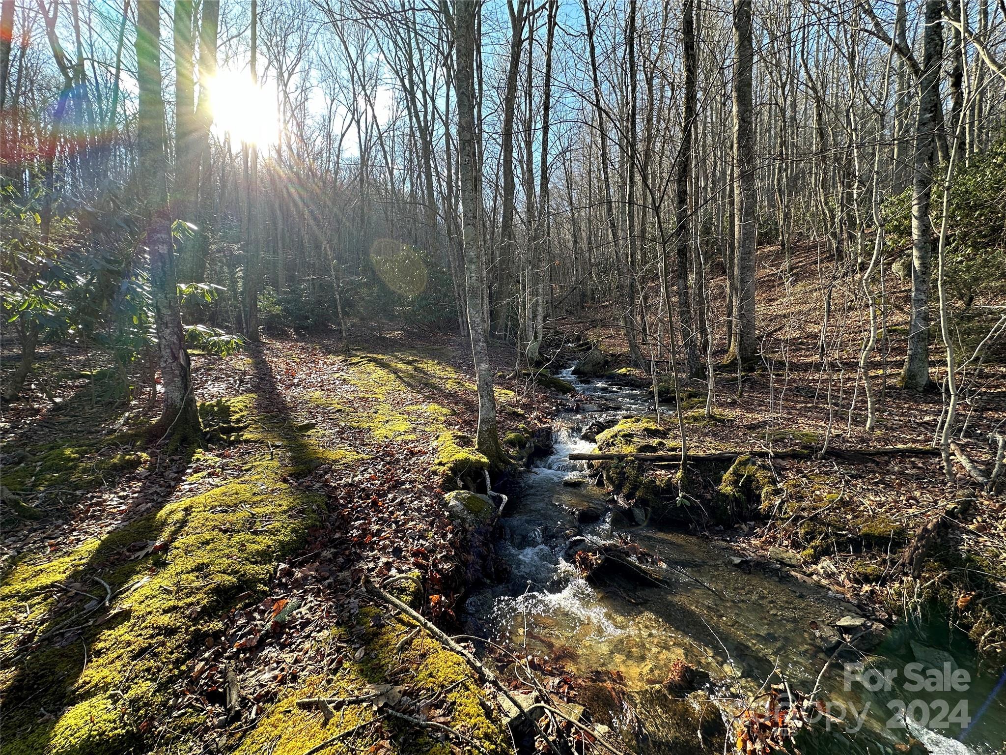 Banner Elk, North Carolina 28604, United States, 4 Bedrooms Bedrooms, ,5 BathroomsBathrooms,Residential,Active,66559