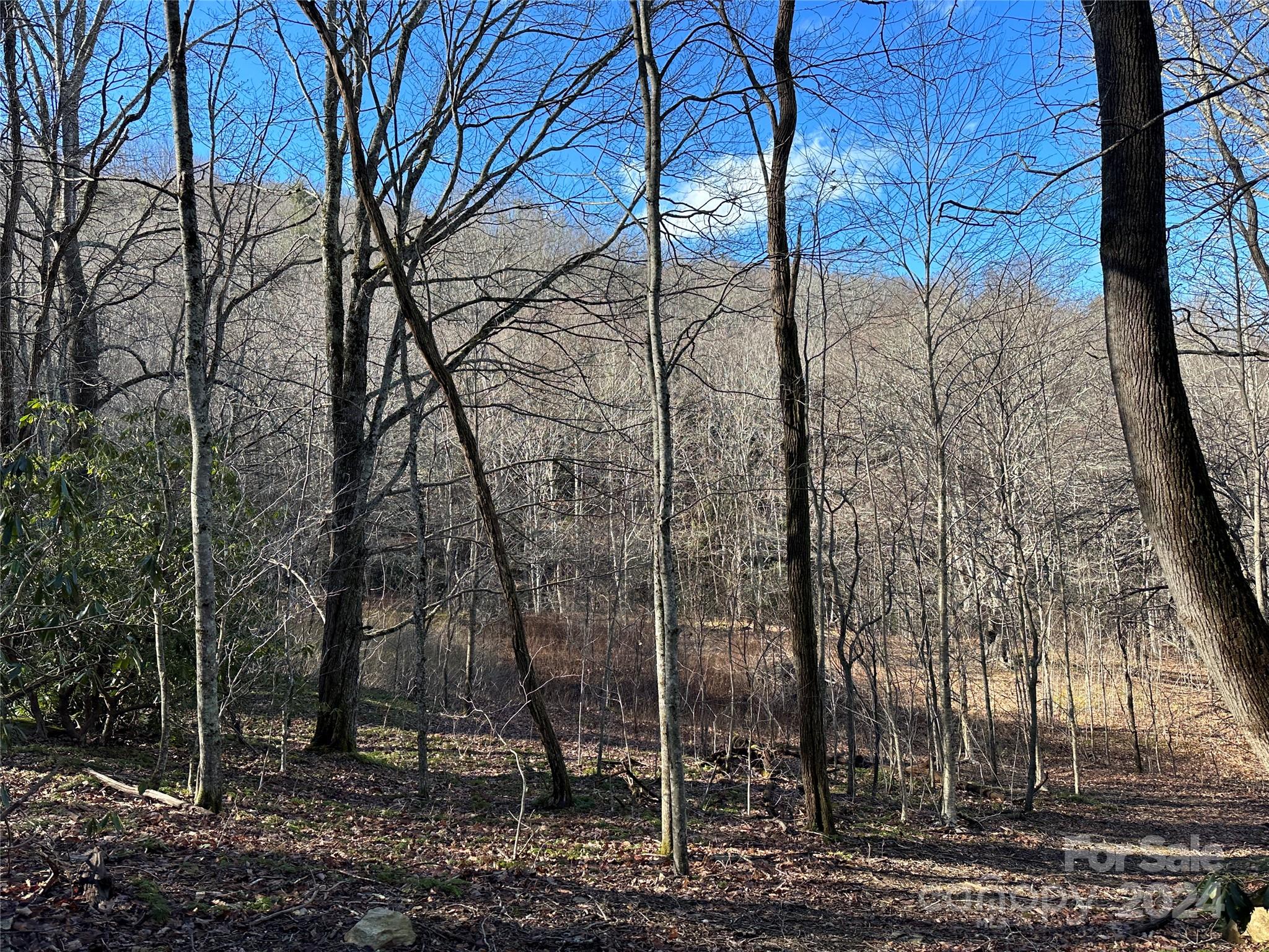 Banner Elk, North Carolina 28604, United States, 4 Bedrooms Bedrooms, ,5 BathroomsBathrooms,Residential,Active,66559