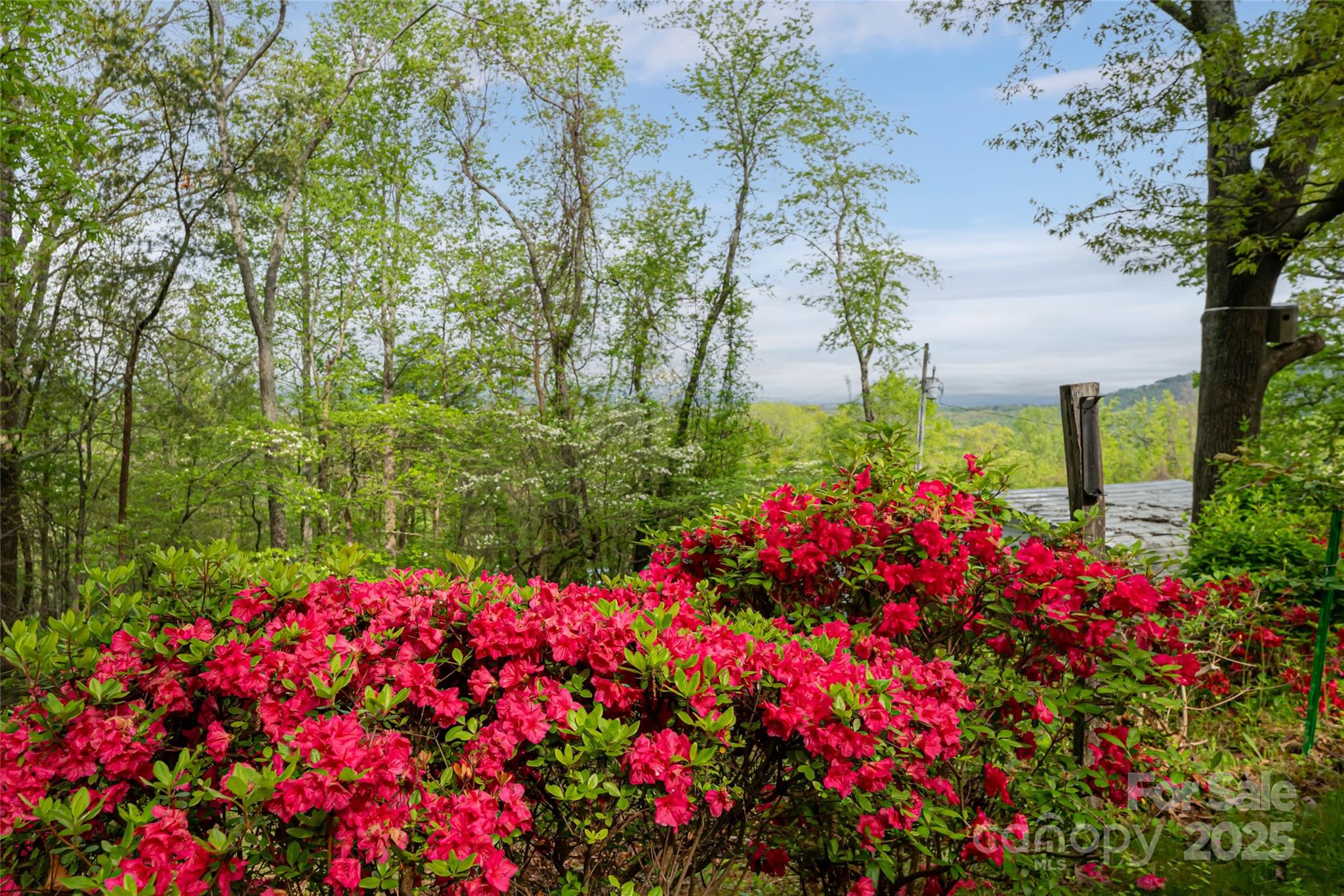 25 Coal Creek Lane