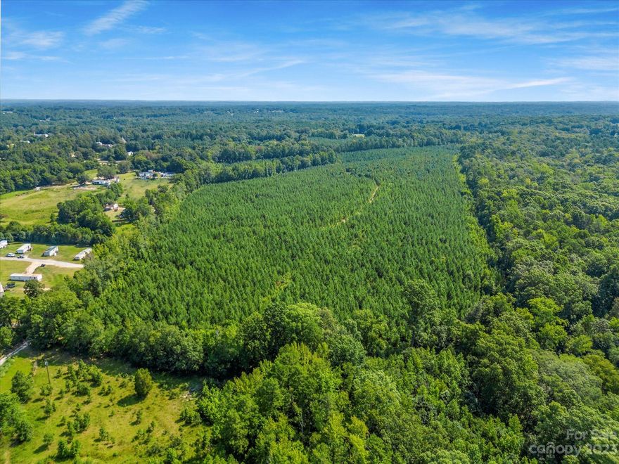 Beautiful 46.5 acres south of Lancaster!  Unrestricted and free of HOA.  Heavily wooded with timberland that potentially adds investment value.  Public water and sewer should be available but not installed.  Paved Stevens Hill Road runs along one side of parcel.  Recommend buyer order a survey.
