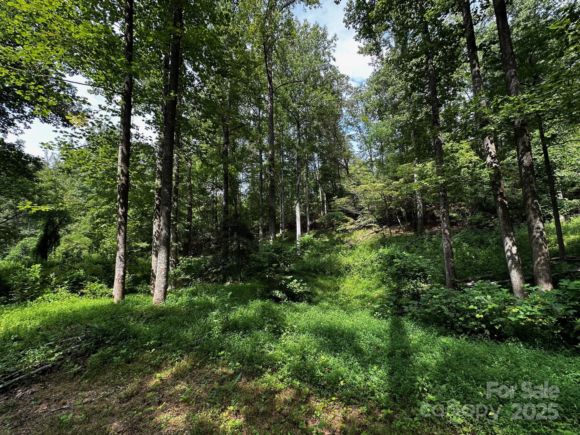 Vista At Bills Mountain - Land