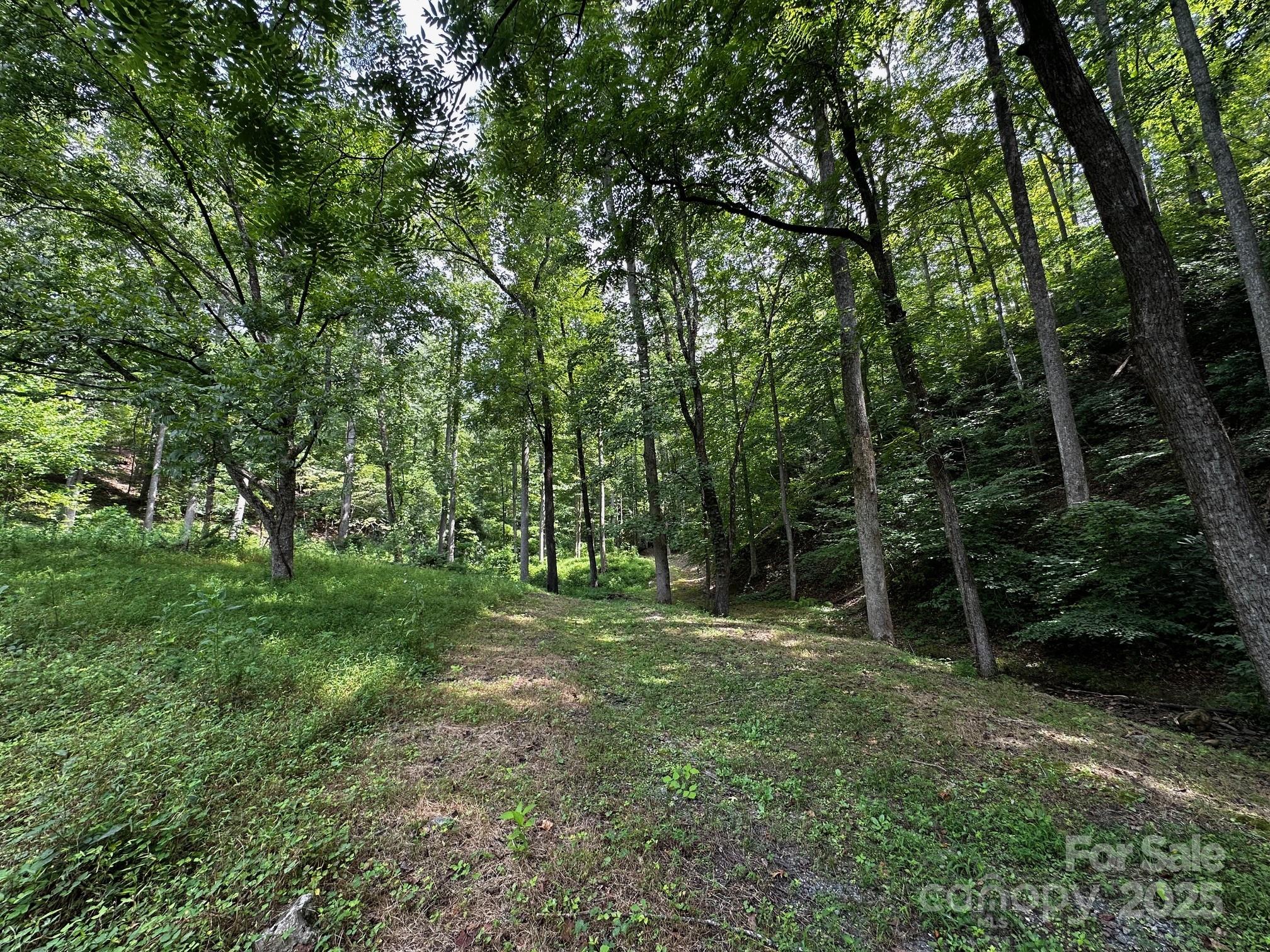 Vista At Bills Mountain - Land