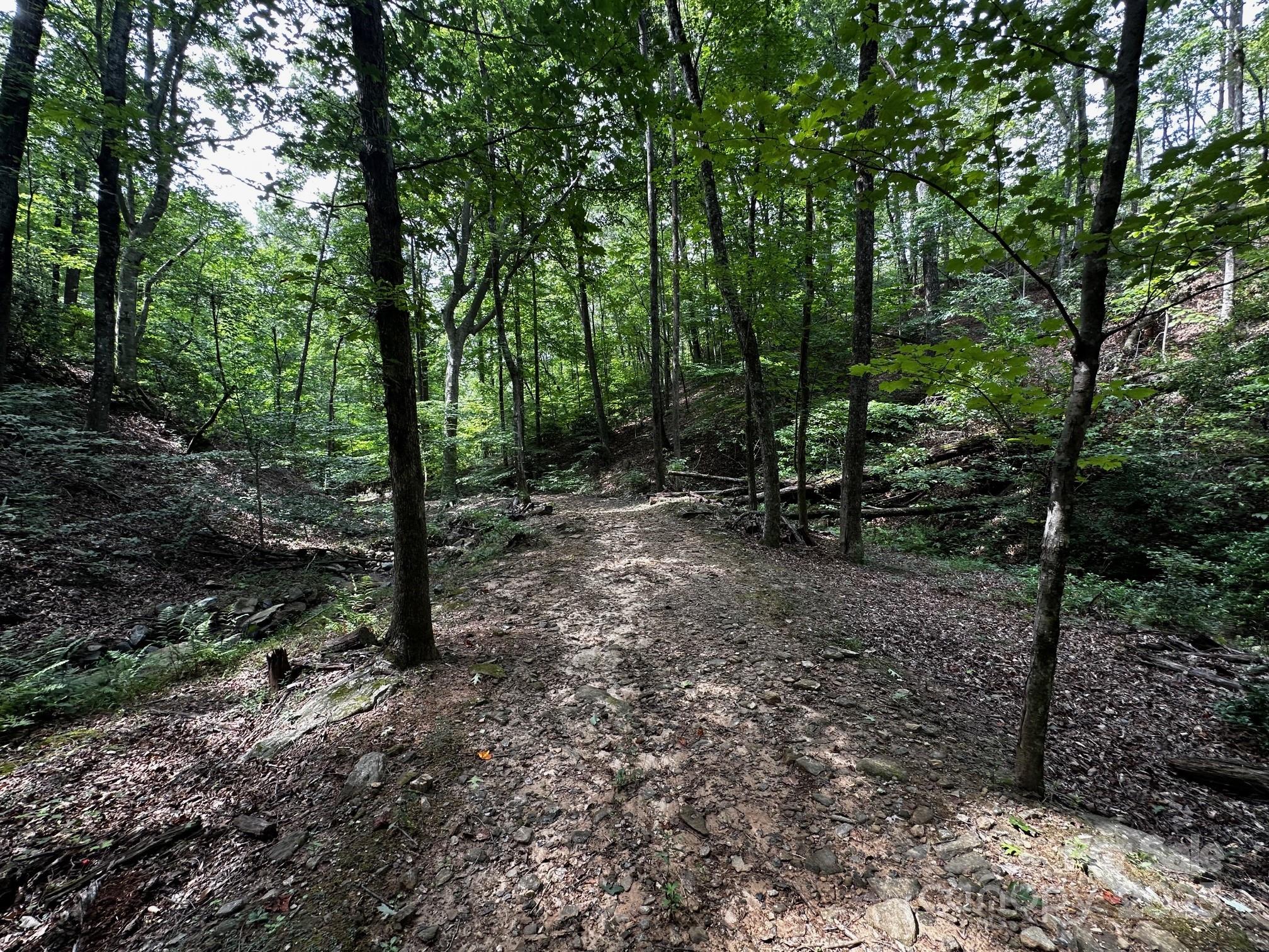 Vista At Bills Mountain - Land