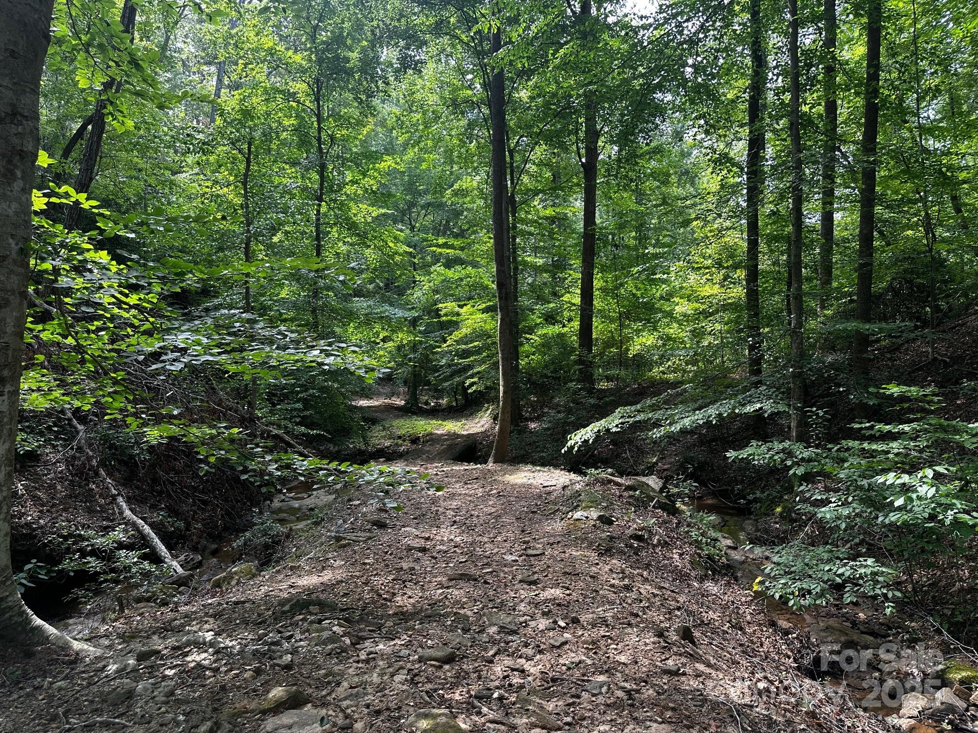 Vista At Bills Mountain - Land
