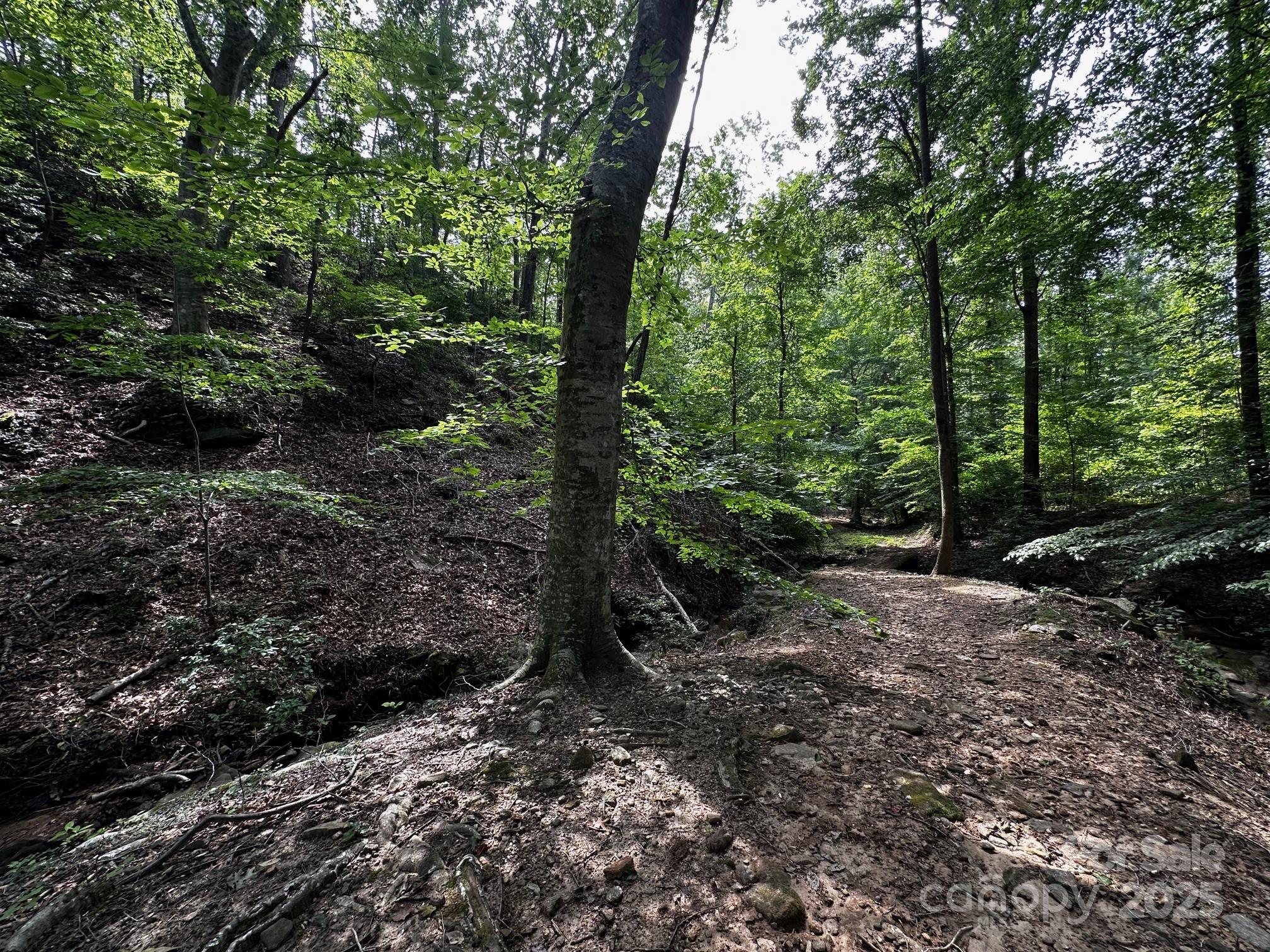Vista At Bills Mountain - Land