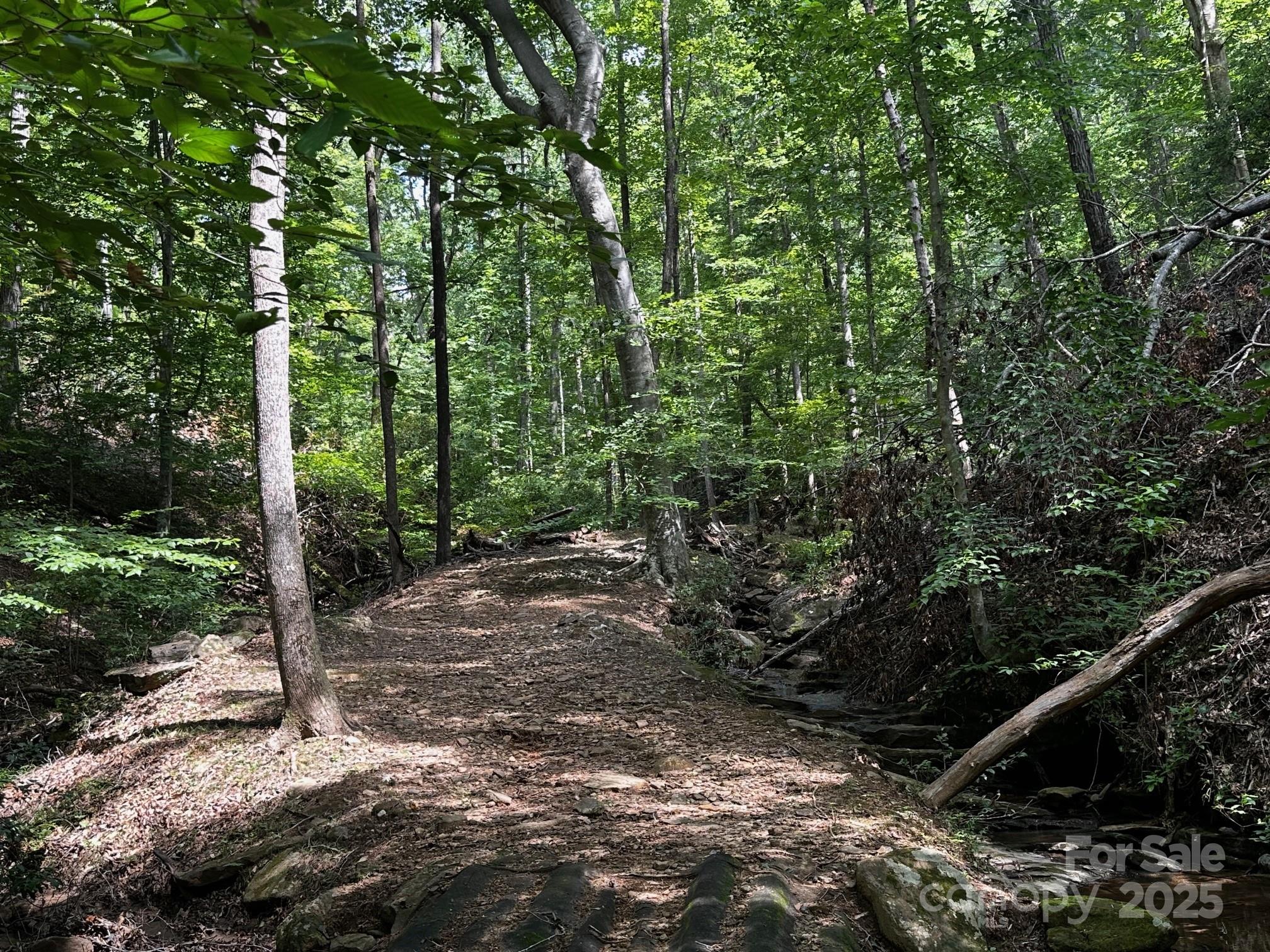 Vista At Bills Mountain - Land