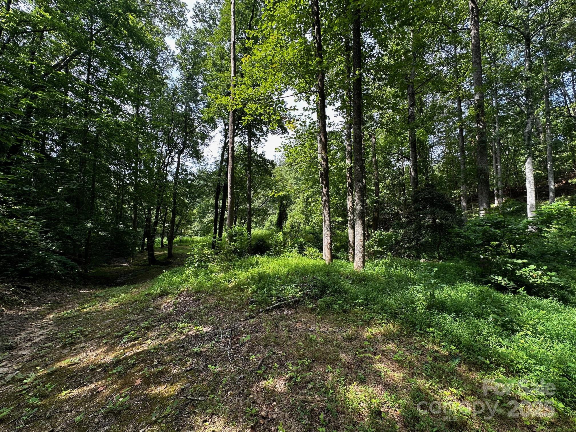 Vista At Bills Mountain - Land