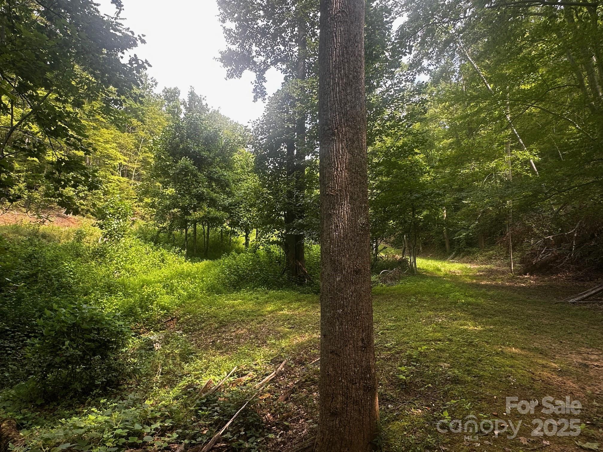 Vista At Bills Mountain - Land