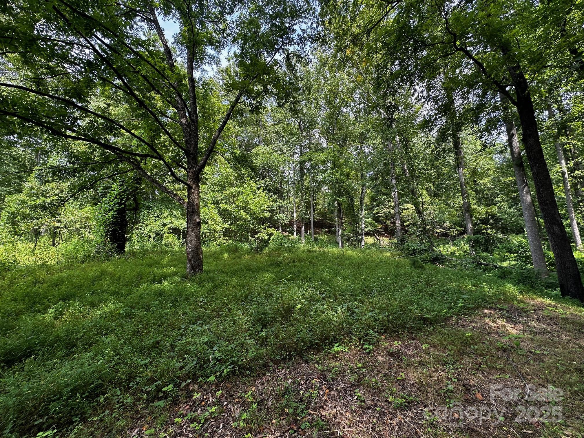 Vista At Bills Mountain - Land