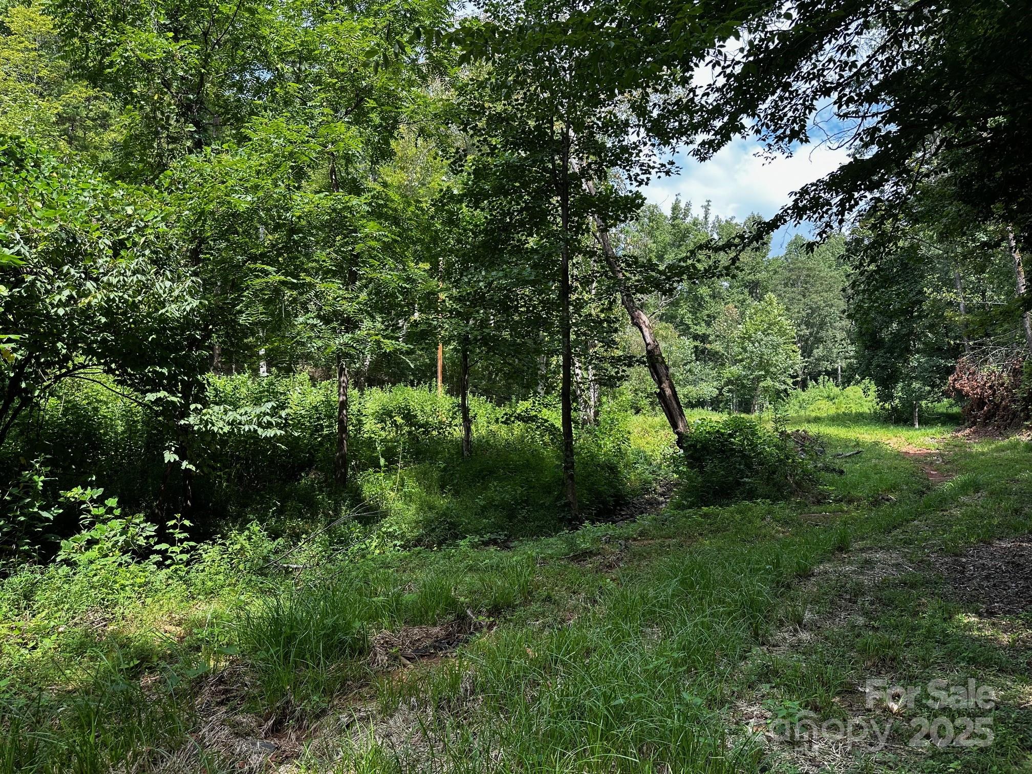 Vista At Bills Mountain - Land