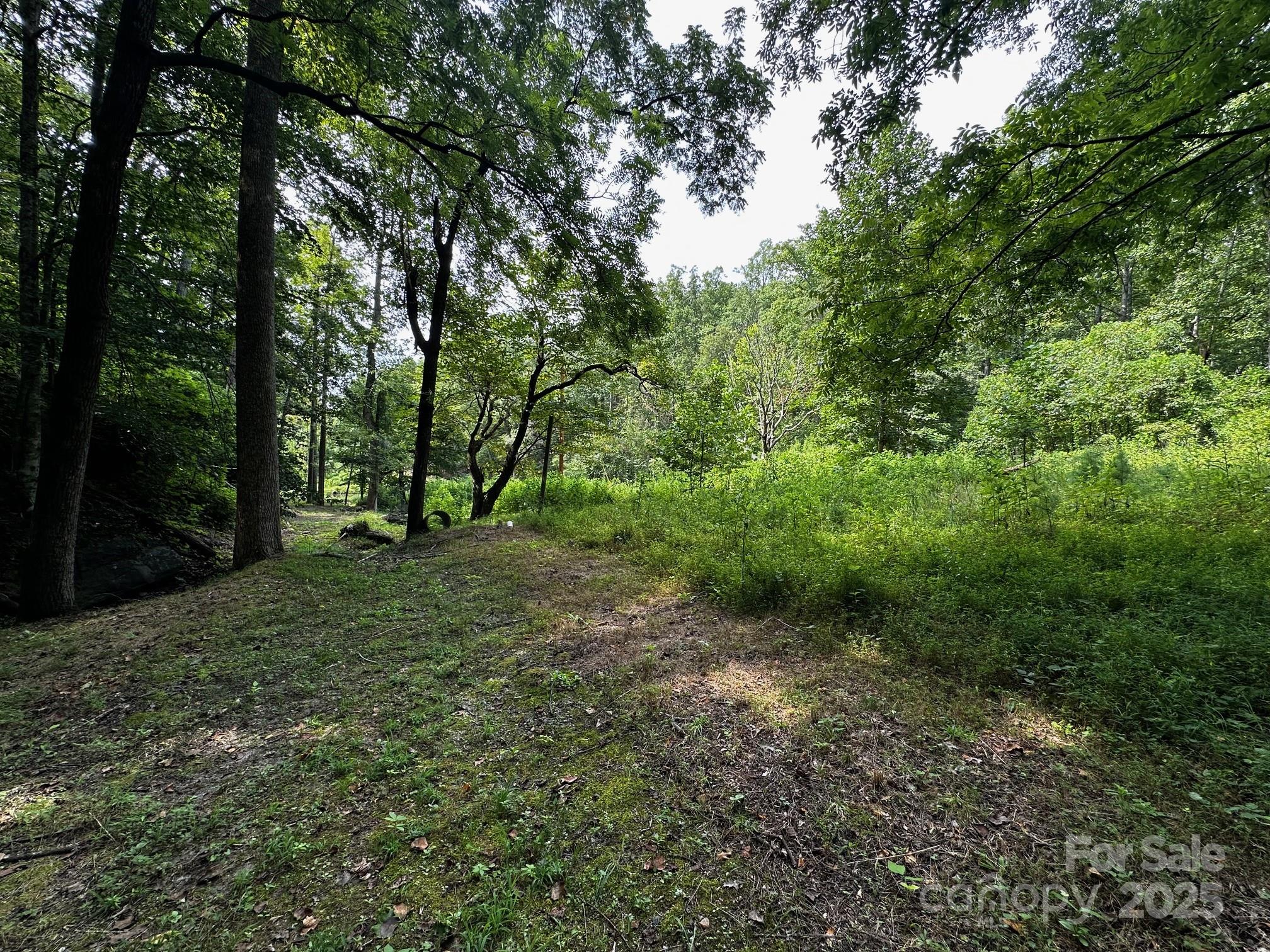 Vista At Bills Mountain - Land