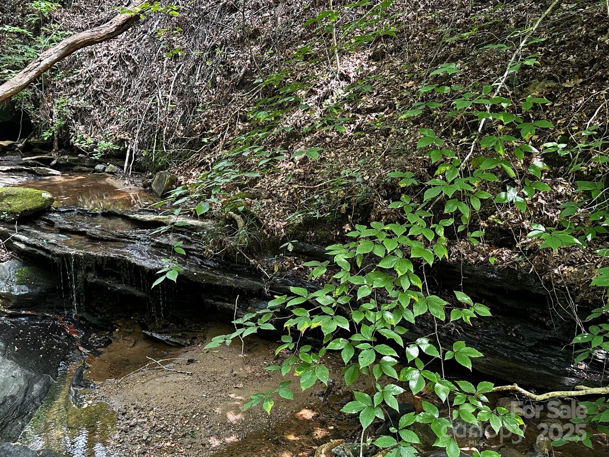 Vista At Bills Mountain - Land