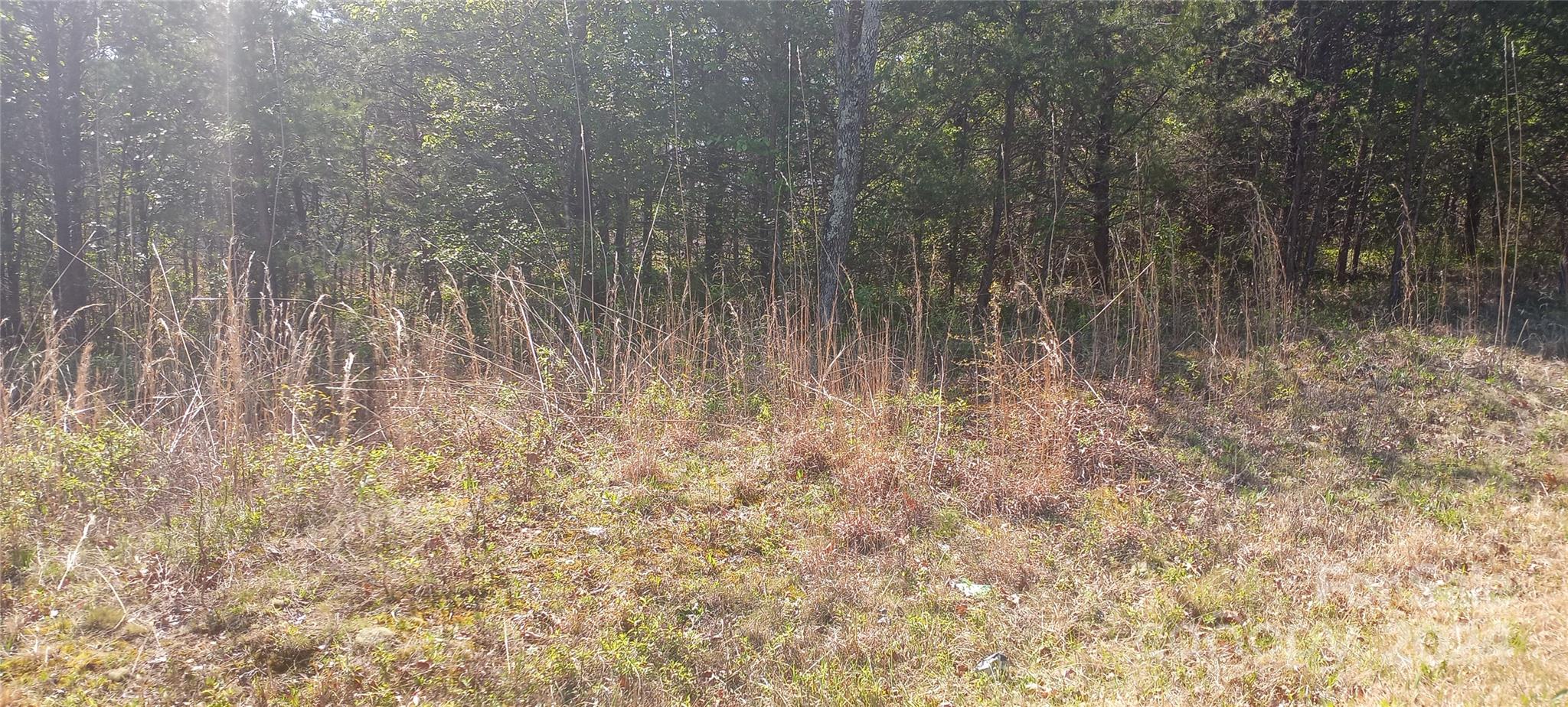 TBD Biggerstaff Loop lot #  21