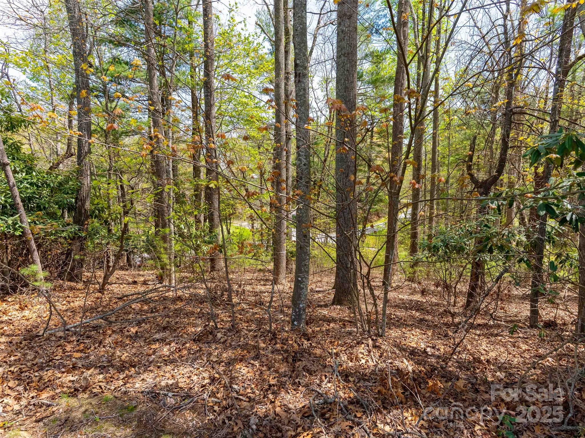 Champion Hills - Land