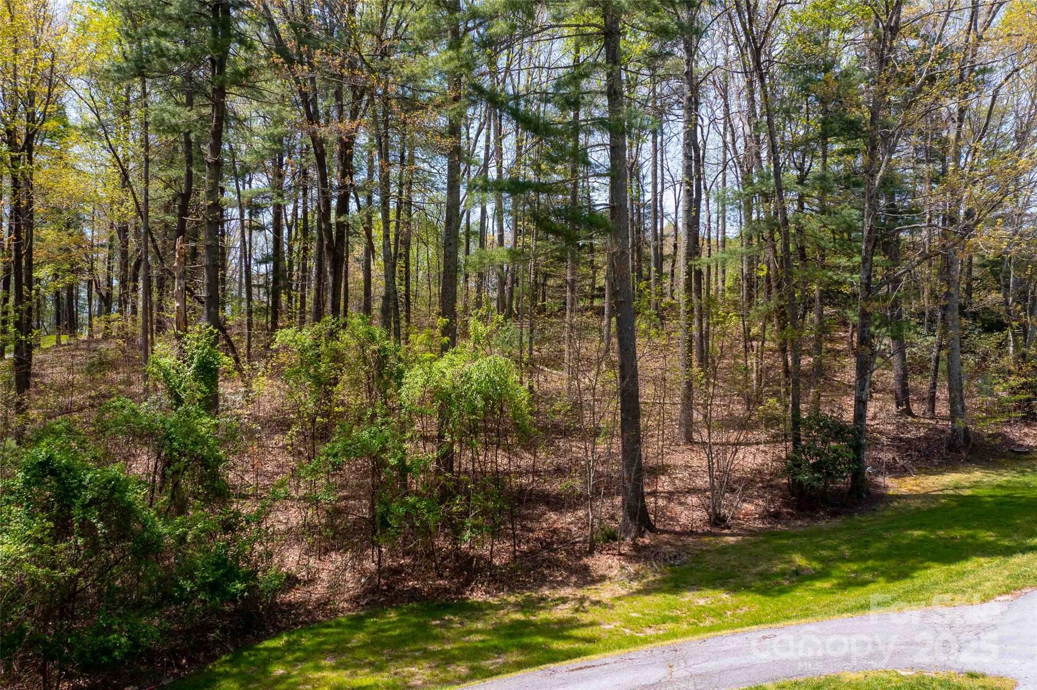 Champion Hills - Land