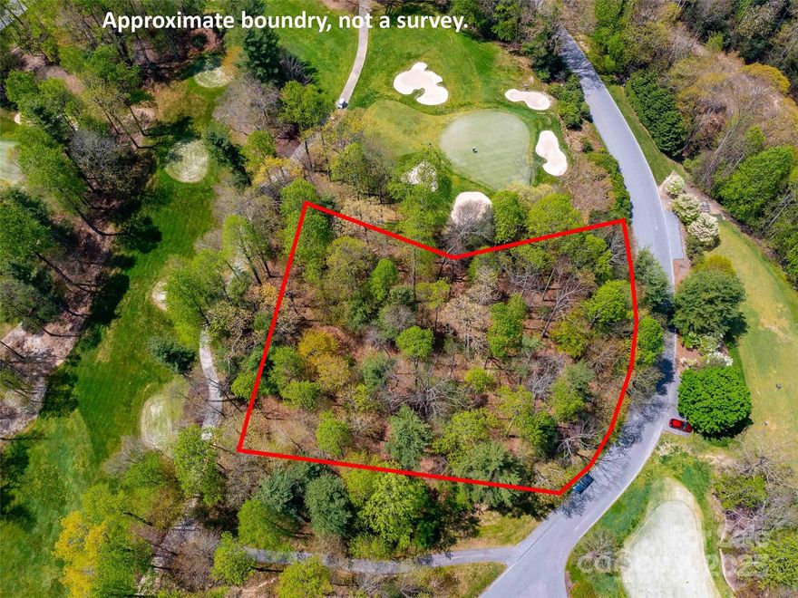 This is your opportunity to own one of the last premier golf course lots in the highly sought-after Champion Hills community. Perfectly positioned just behind the picturesque 2nd green, this gently sloping homesite offers stunning views of Tom Fazio’s renowned mountain course – a true masterpiece of design and natural beauty. Enjoy peace and privacy tucked away in this corner of the neighborhood, while being just 8 minutes from the vibrant and charming downtown Hendersonville. Whether planning your dream retirement retreat or a seasonal escape, this lot offers exceptional scenery and an unbeatable location. Come and see what makes it special!