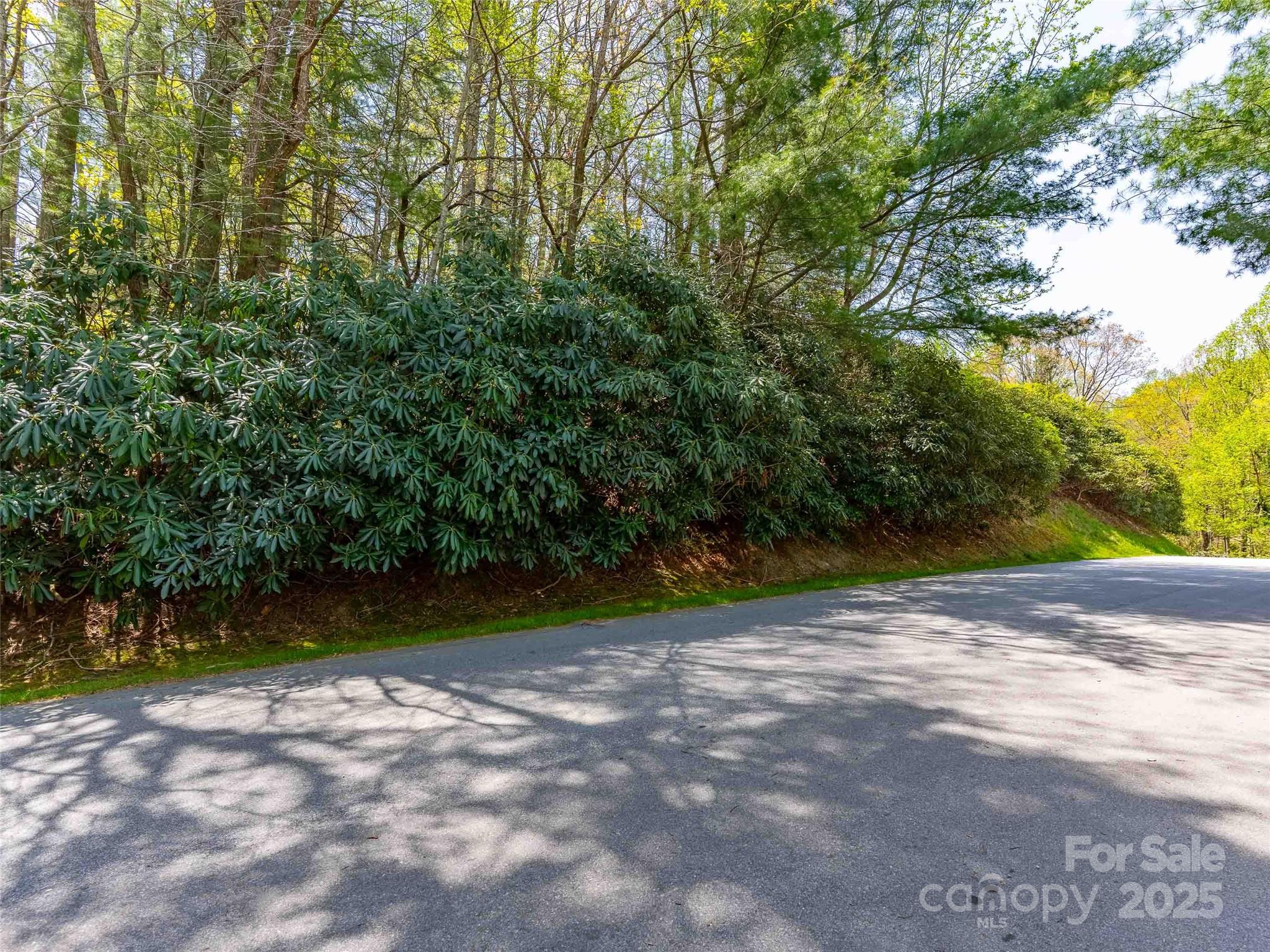 Champion Hills - Land