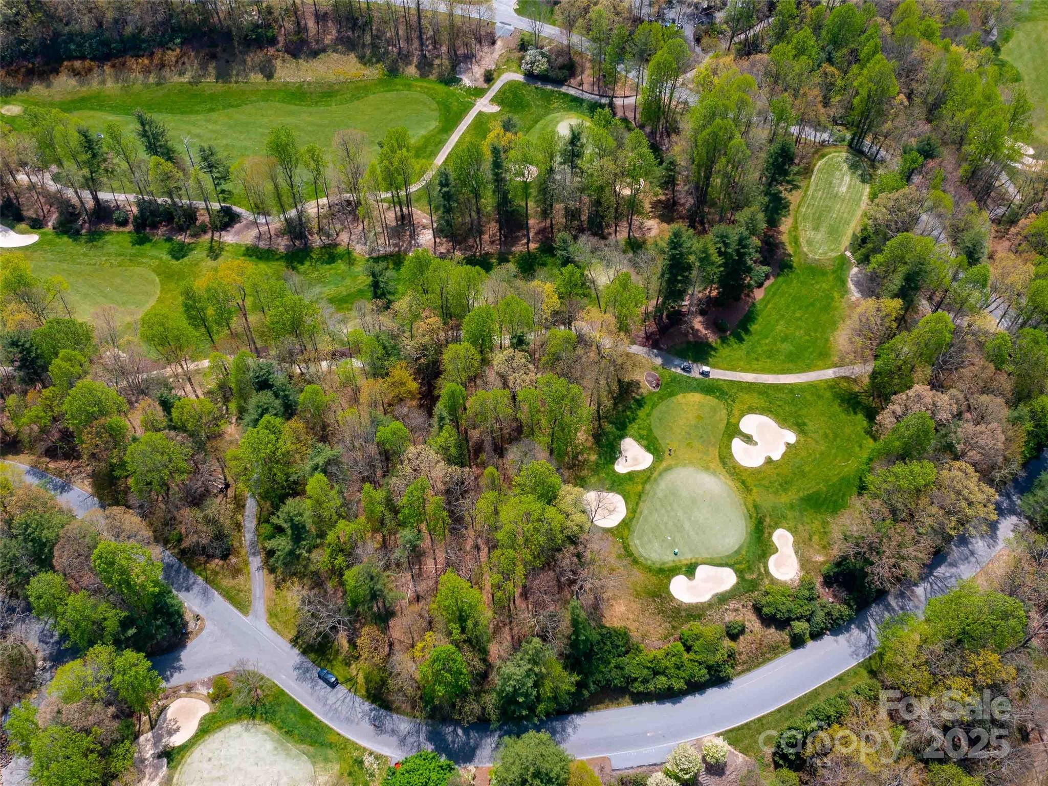 180 Pine Shadow Drive 287