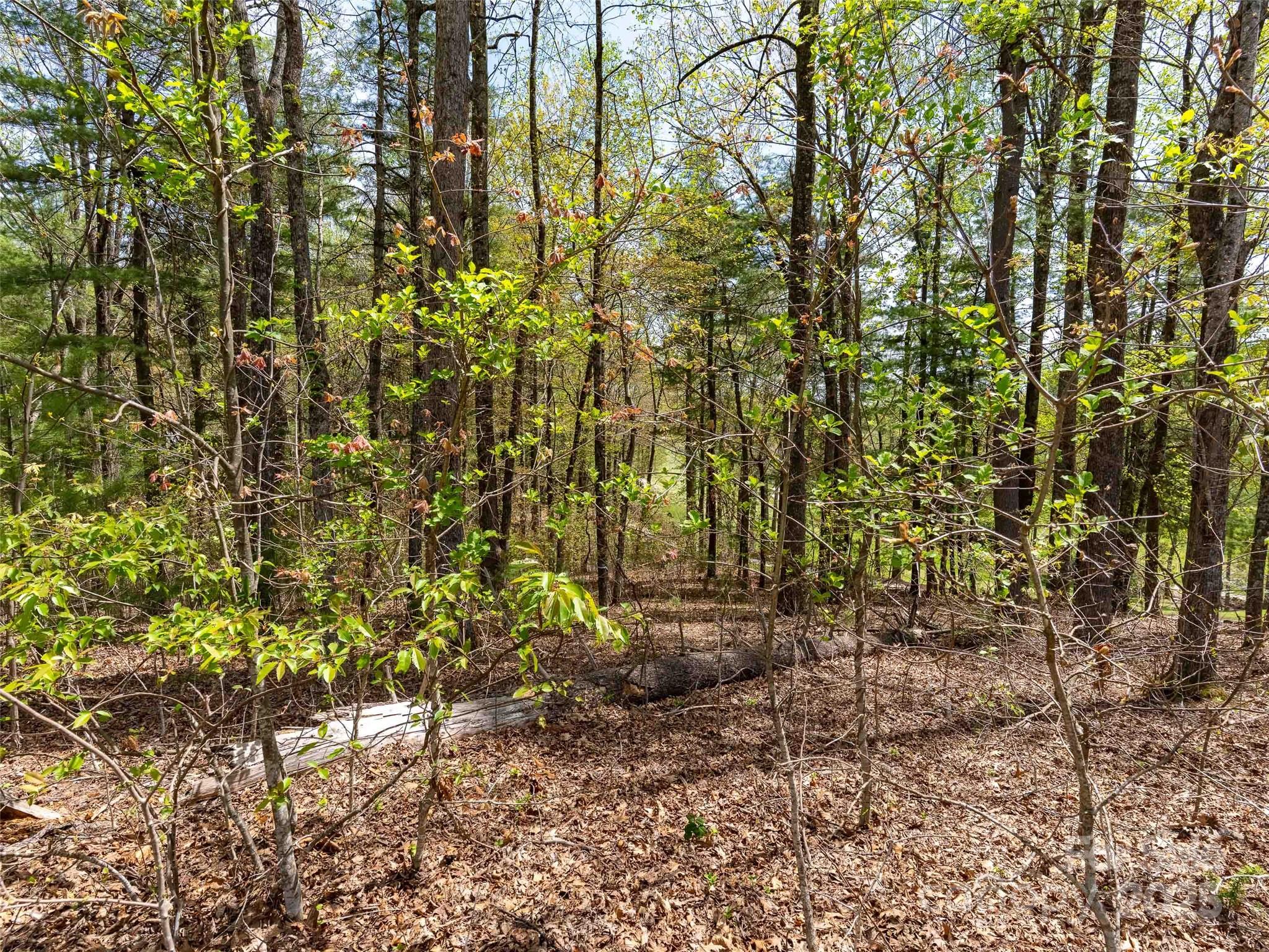 Champion Hills - Land