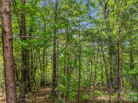 4 Woodward Drive Mill Spring NC 28756