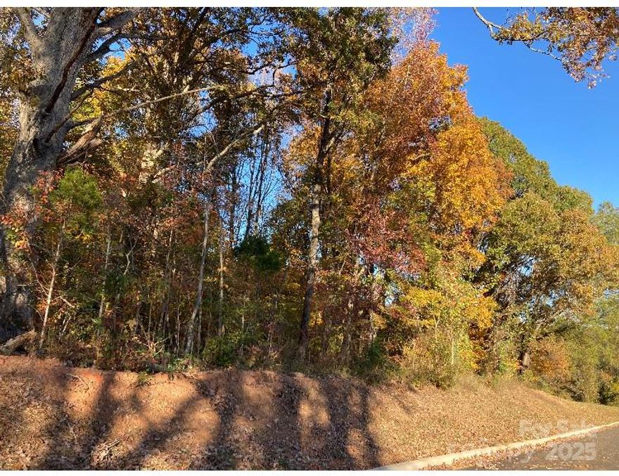 1.6 Acres Wooded. Great location for development as it is located right by new industrial park. Conveniently located to i85 exit 79. Water / sewer not connected; tap fees required. This property is located in East Spencer city limits.