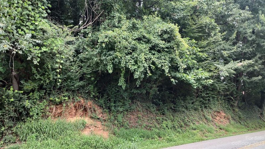 City lot with great potential. City water and city sewer available with tap fees. Survey on file. Per survey, there is an easement off Ellis St. to the property. Seller advises that the best place to install a driveway is near the speed limit sign on W. Court.