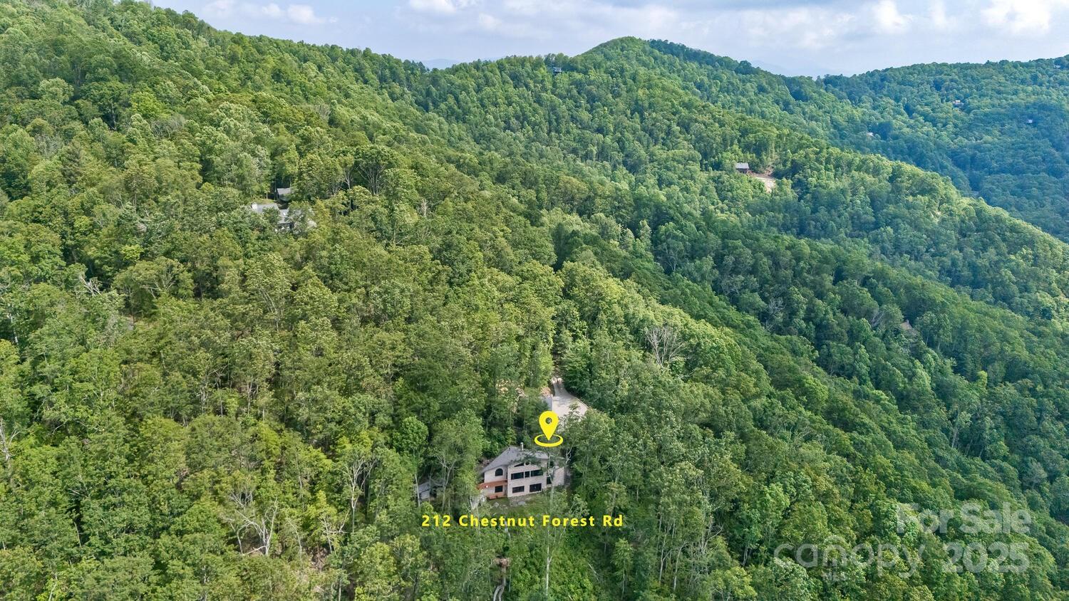 212 Chestnut Forest Road