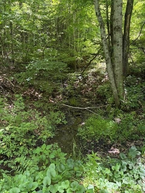 Photo of 00 Shoaf Lane, Warrensville, NC 28693 (MLS # 4394234)