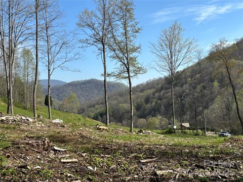 (NW Lot) TBD Silas Branch Road Burnsville NC 28714