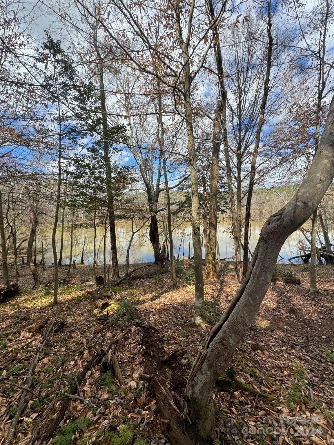 Lake Rhodhiss Estates - Land