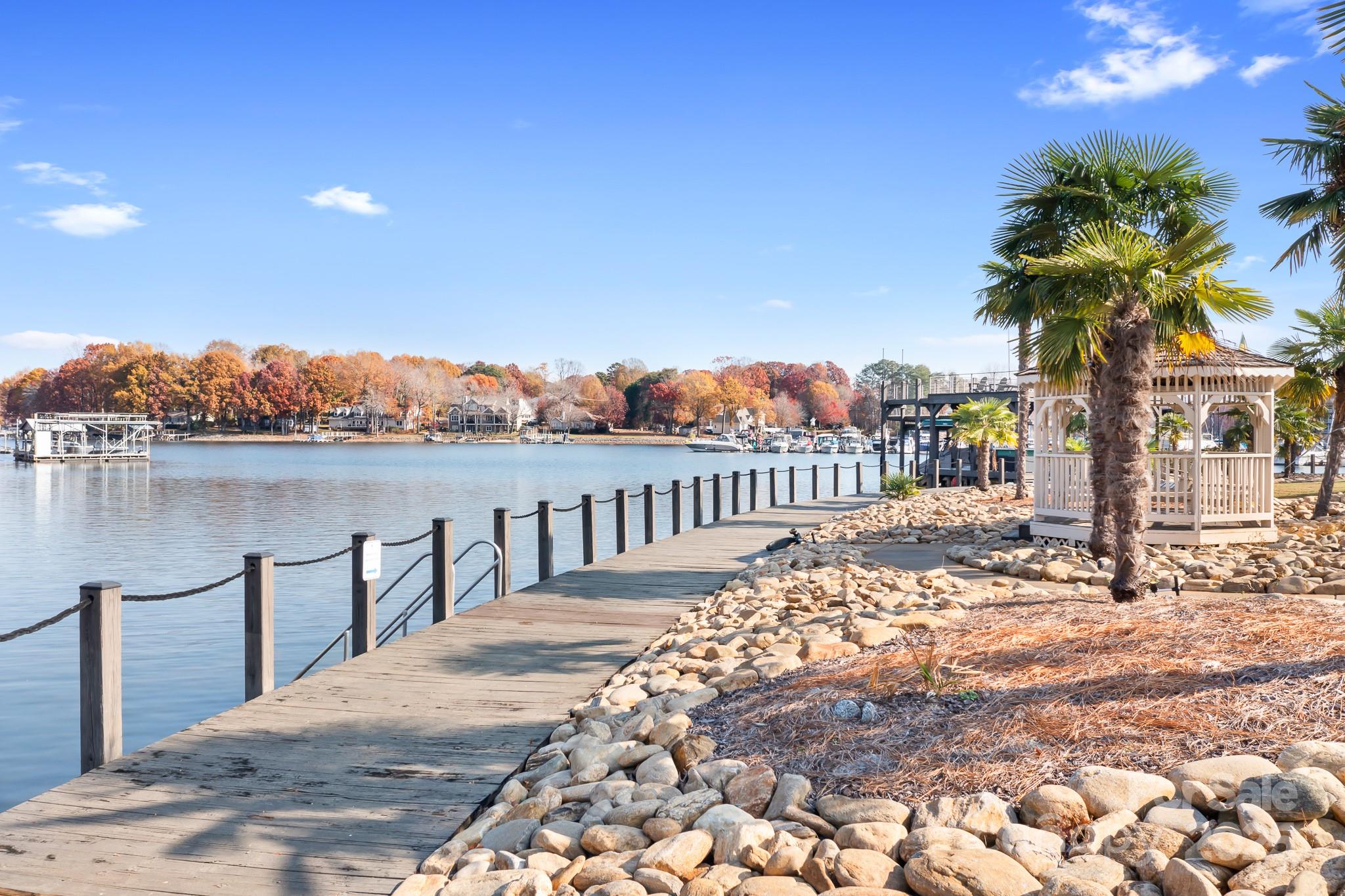 20332 Colony Point Lane