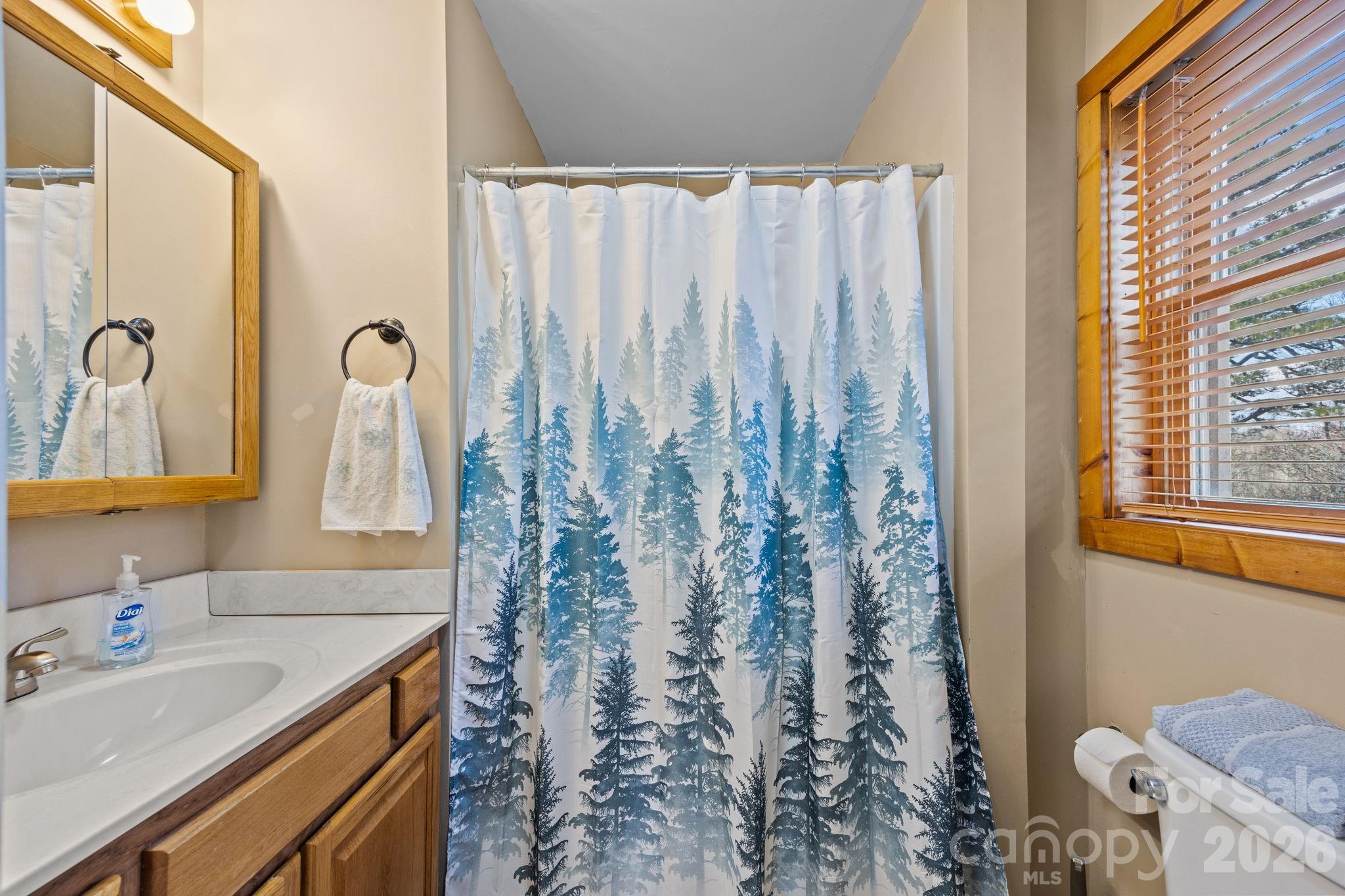 Alpine Mountain - Residential