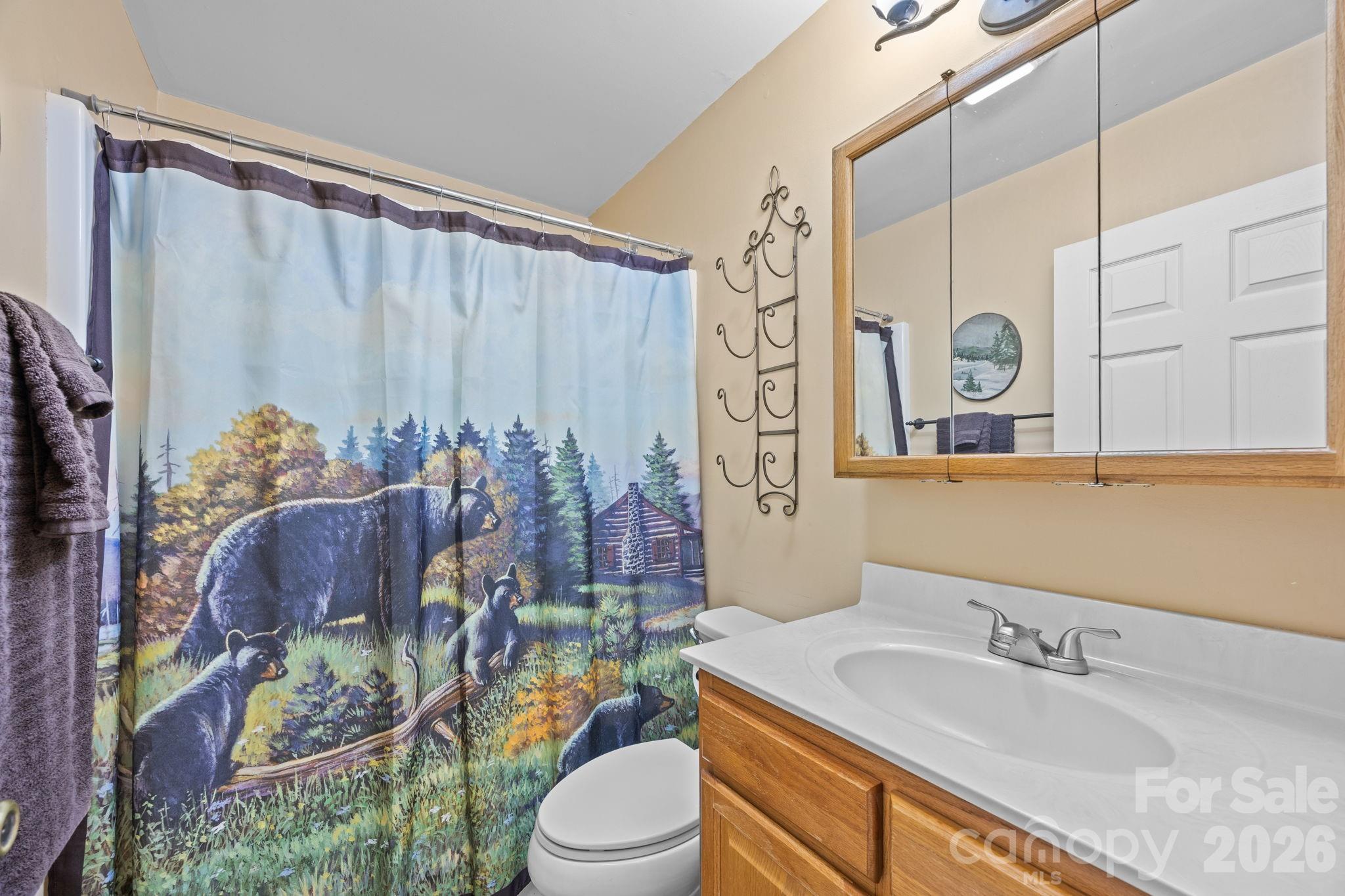 Alpine Mountain - Residential