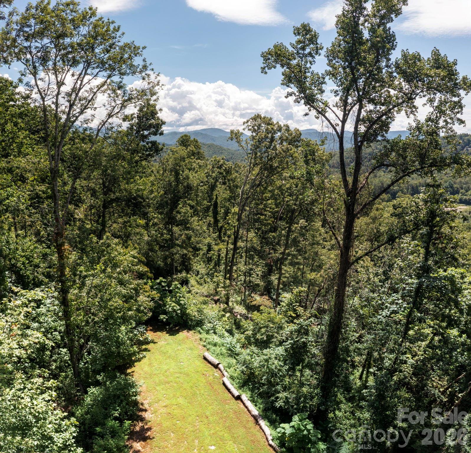 Pinchot Forest - Land