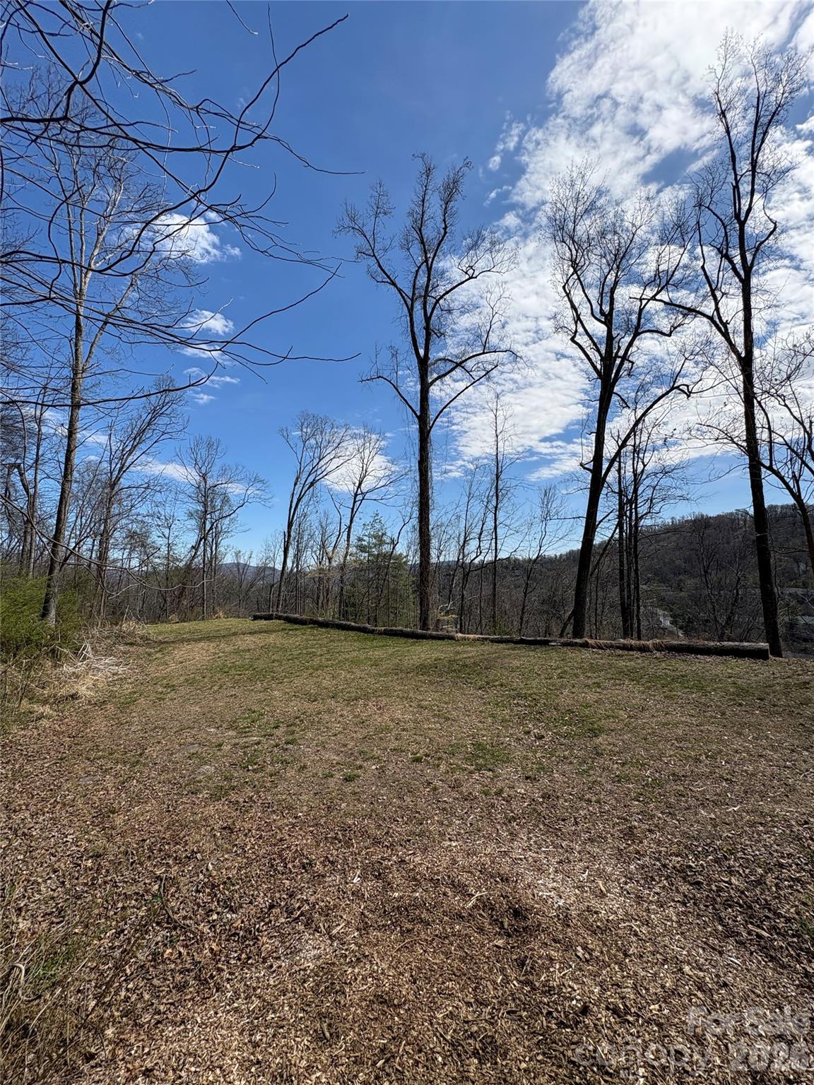 Pinchot Forest - Land