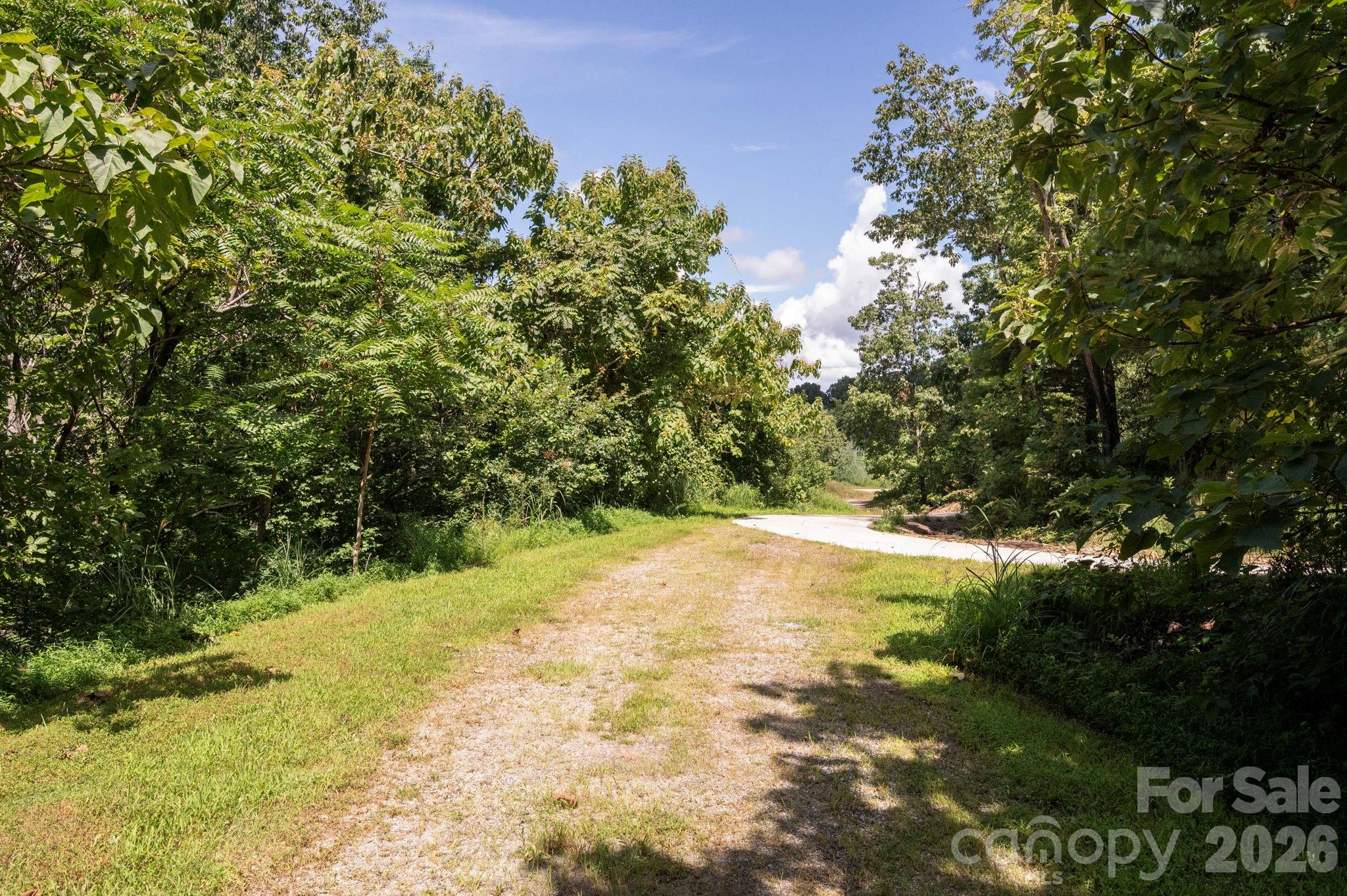 Pinchot Forest - Land