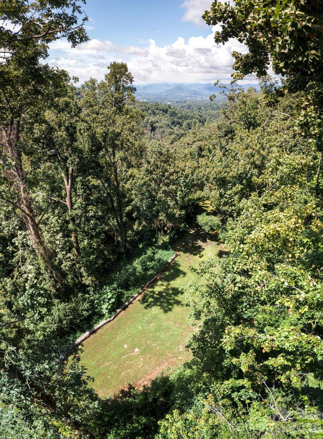 Pinchot Forest - Land