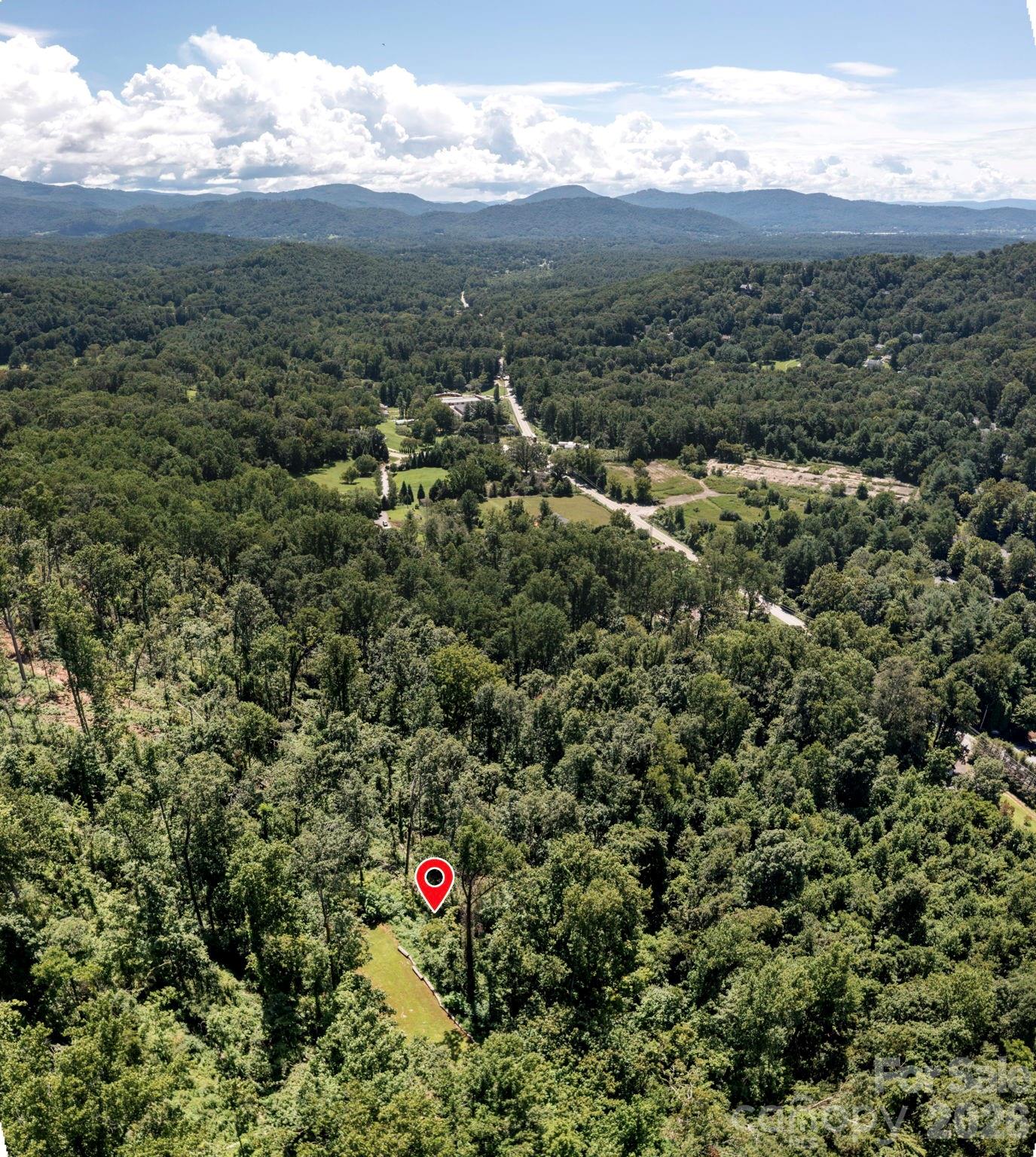 Pinchot Forest - Land