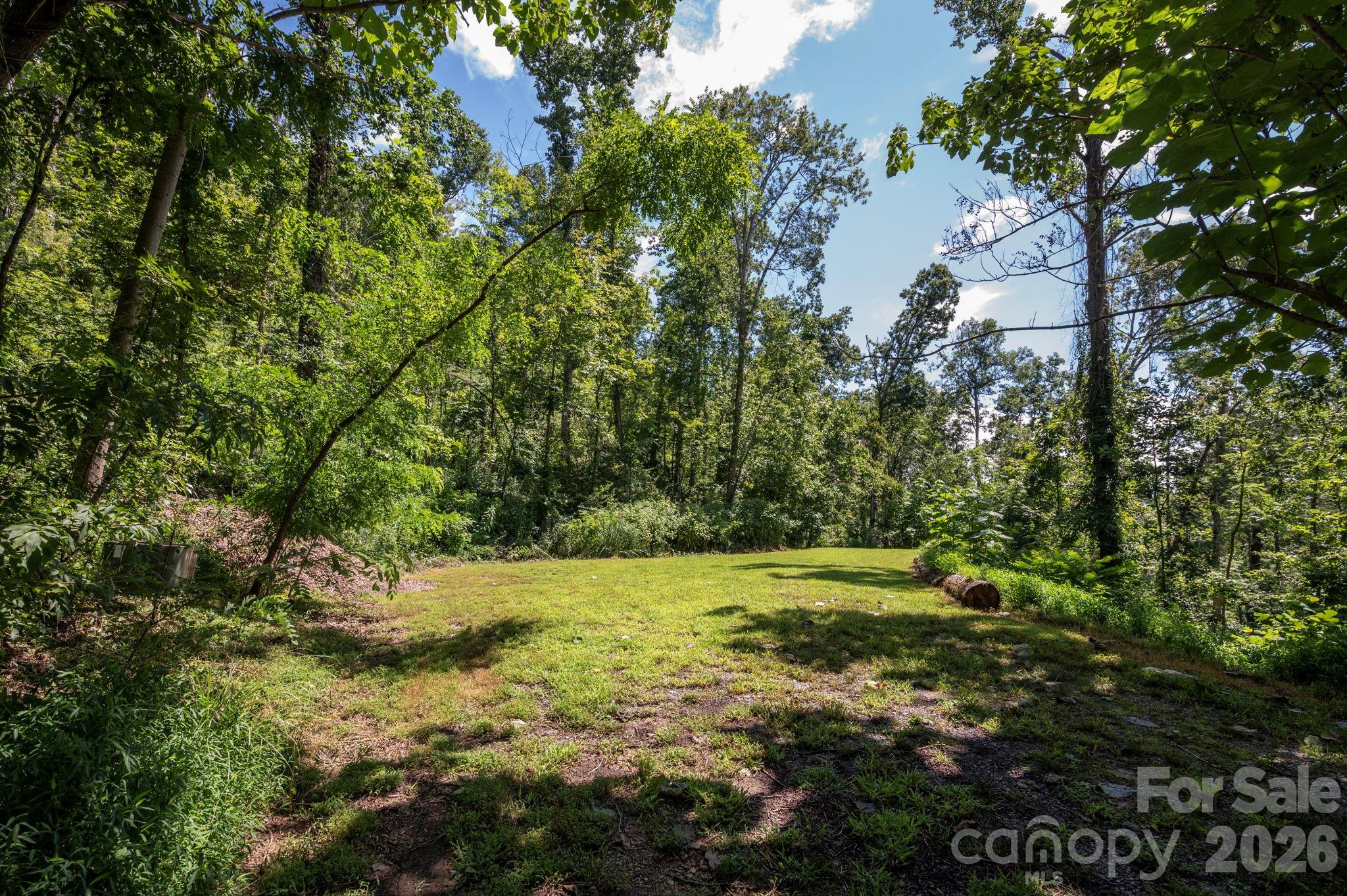 Pinchot Forest - Land