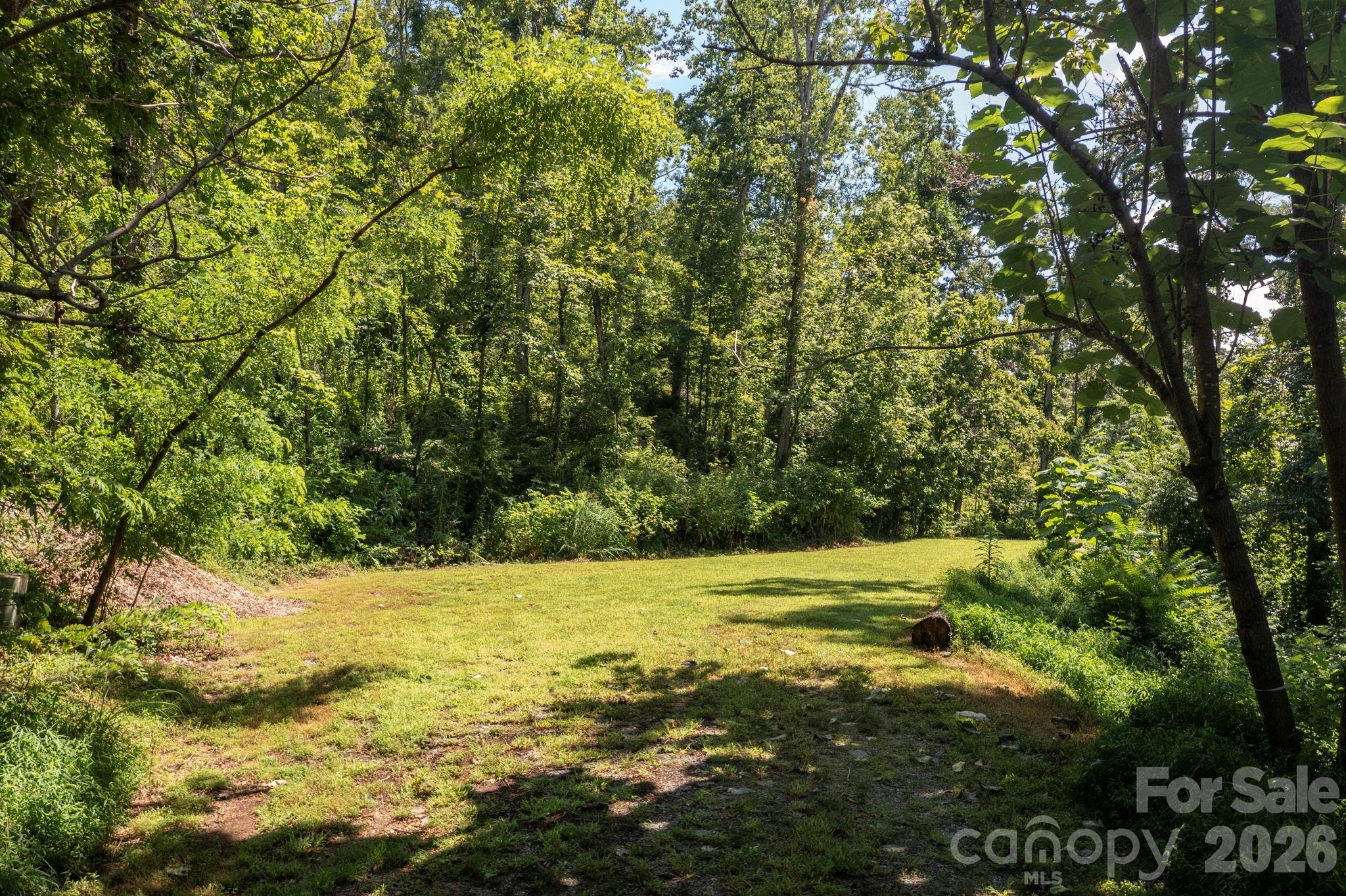 Pinchot Forest - Land