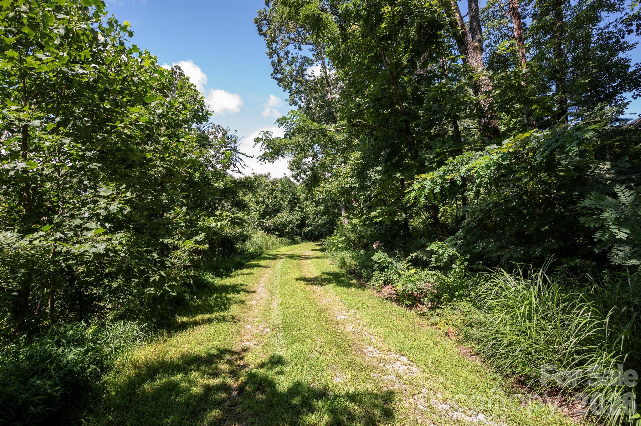 Pinchot Forest - Land