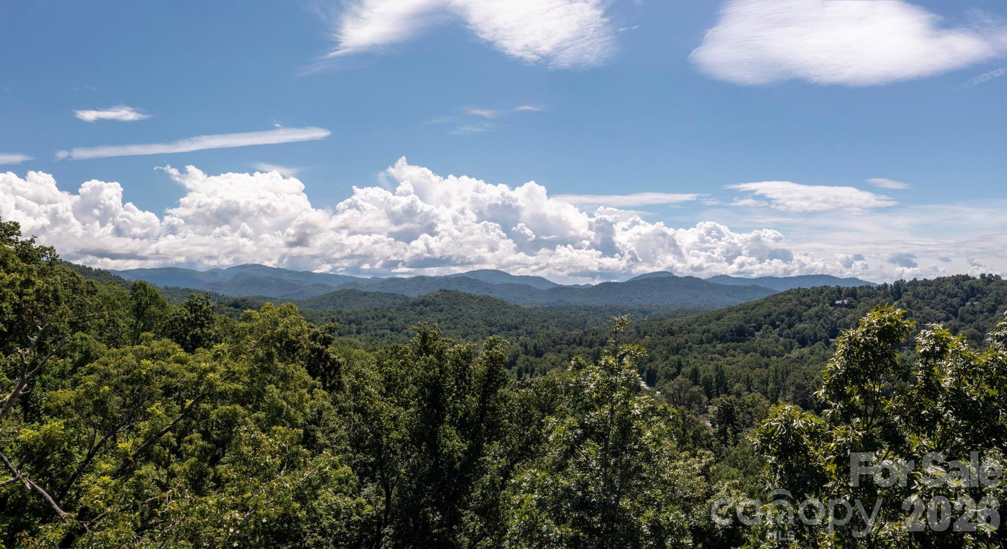 Pinchot Forest - Land