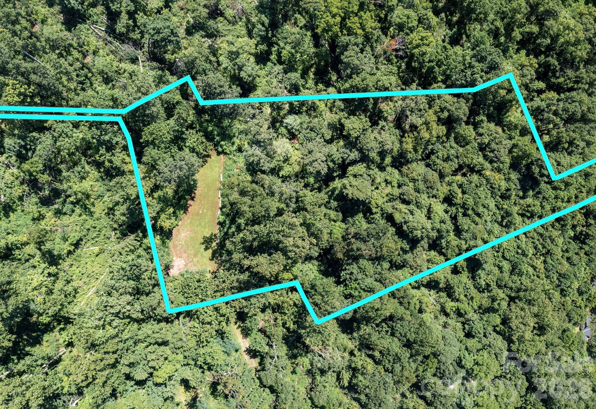 Pinchot Forest - Land
