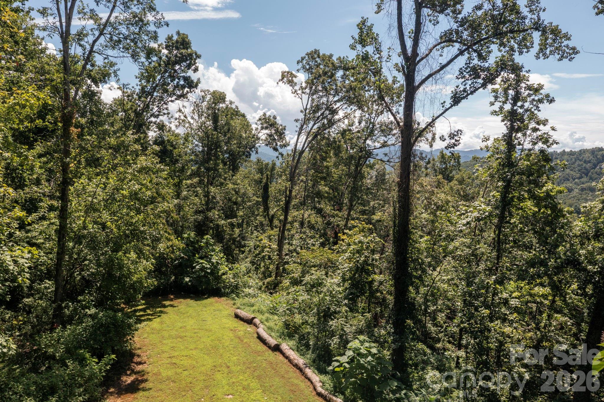 Pinchot Forest - Land